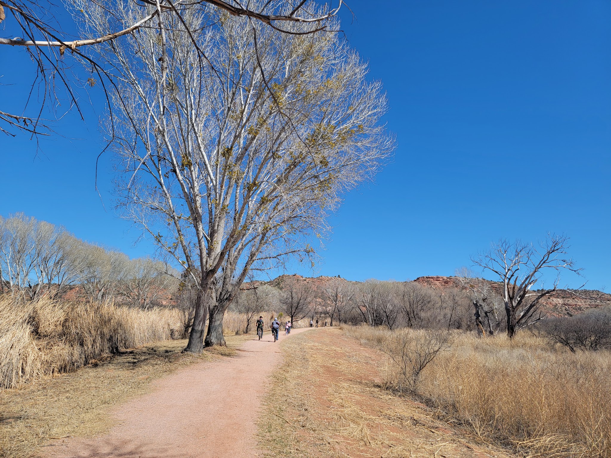 Equestrian Campground