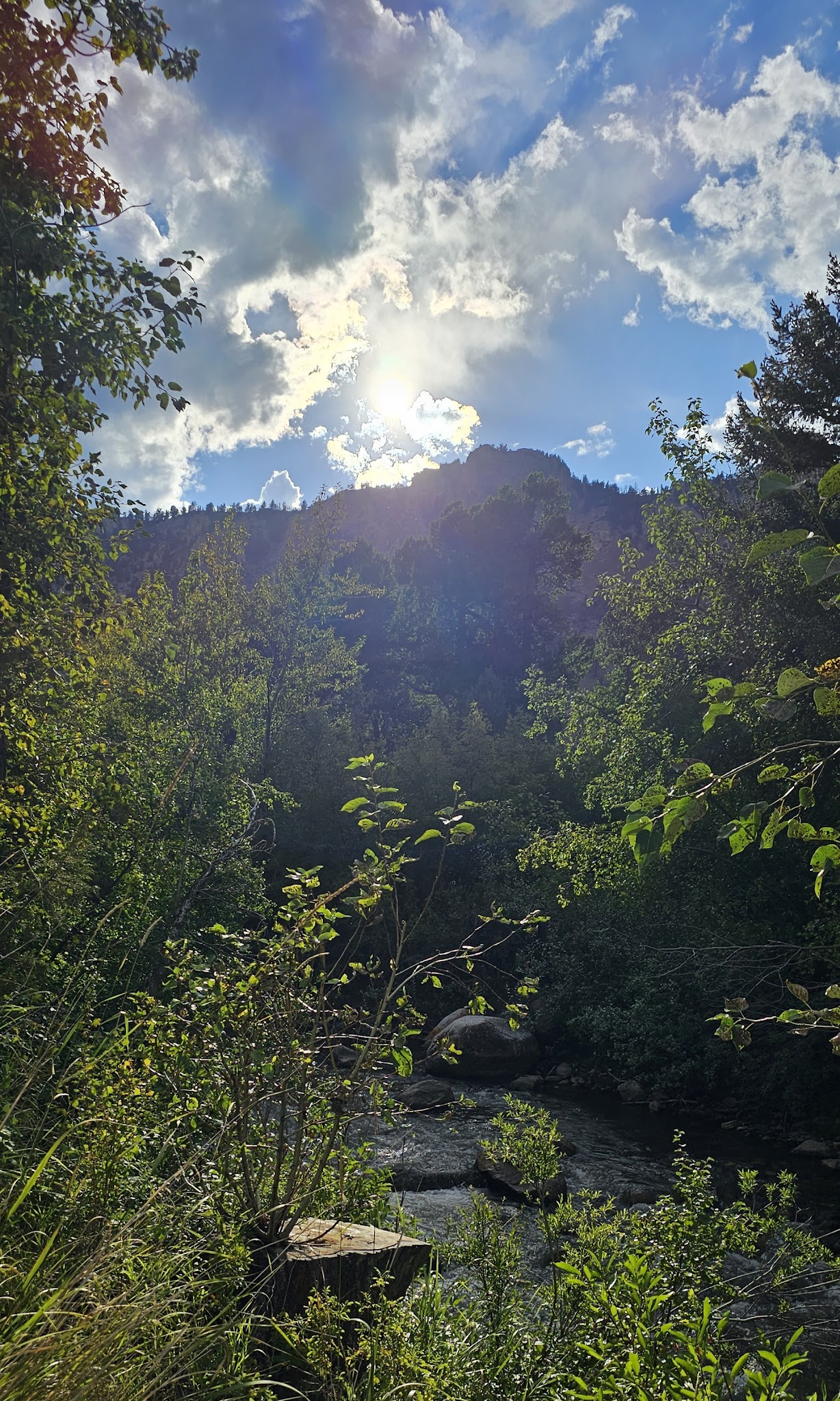 Dead Indian Campground