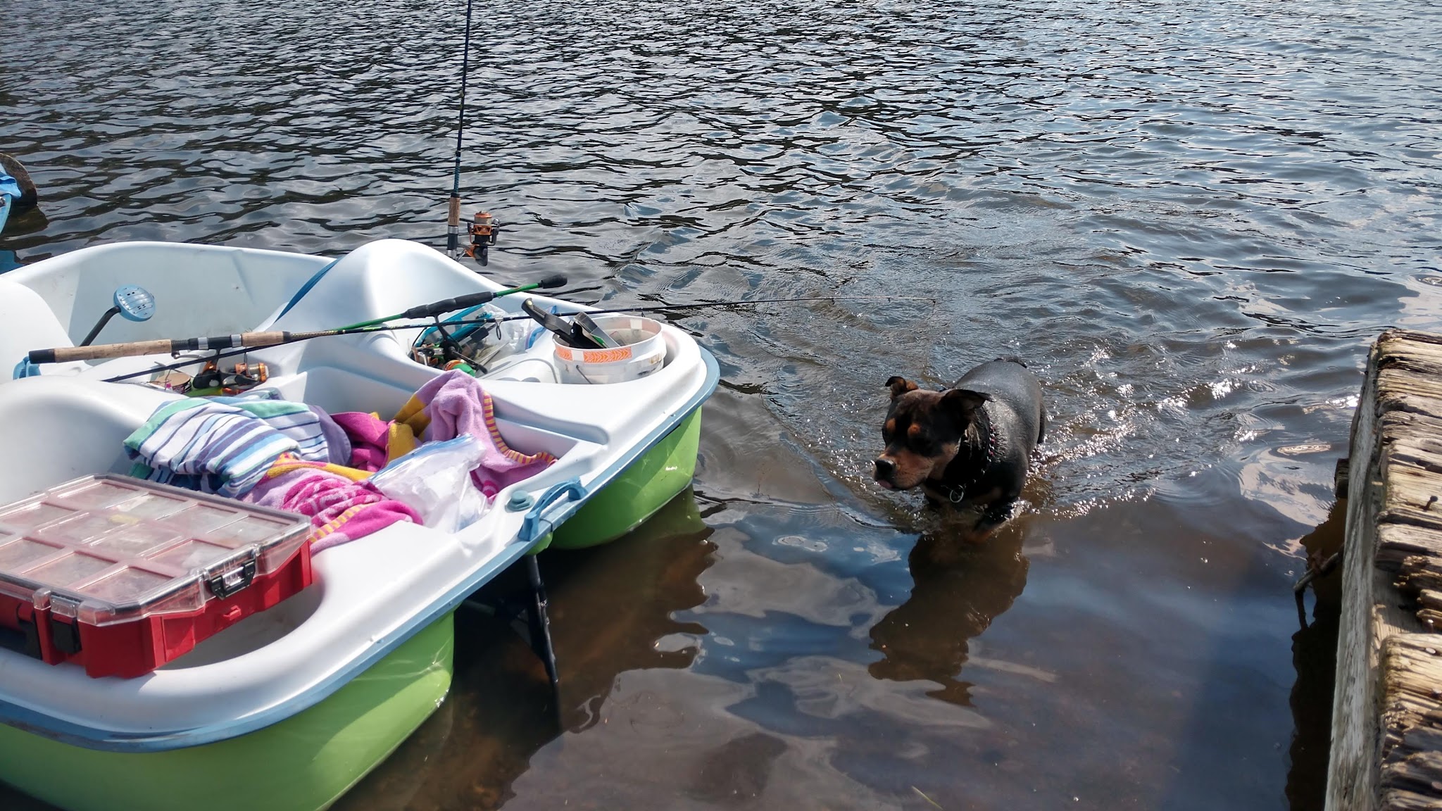 Deadhorse Lake Campground