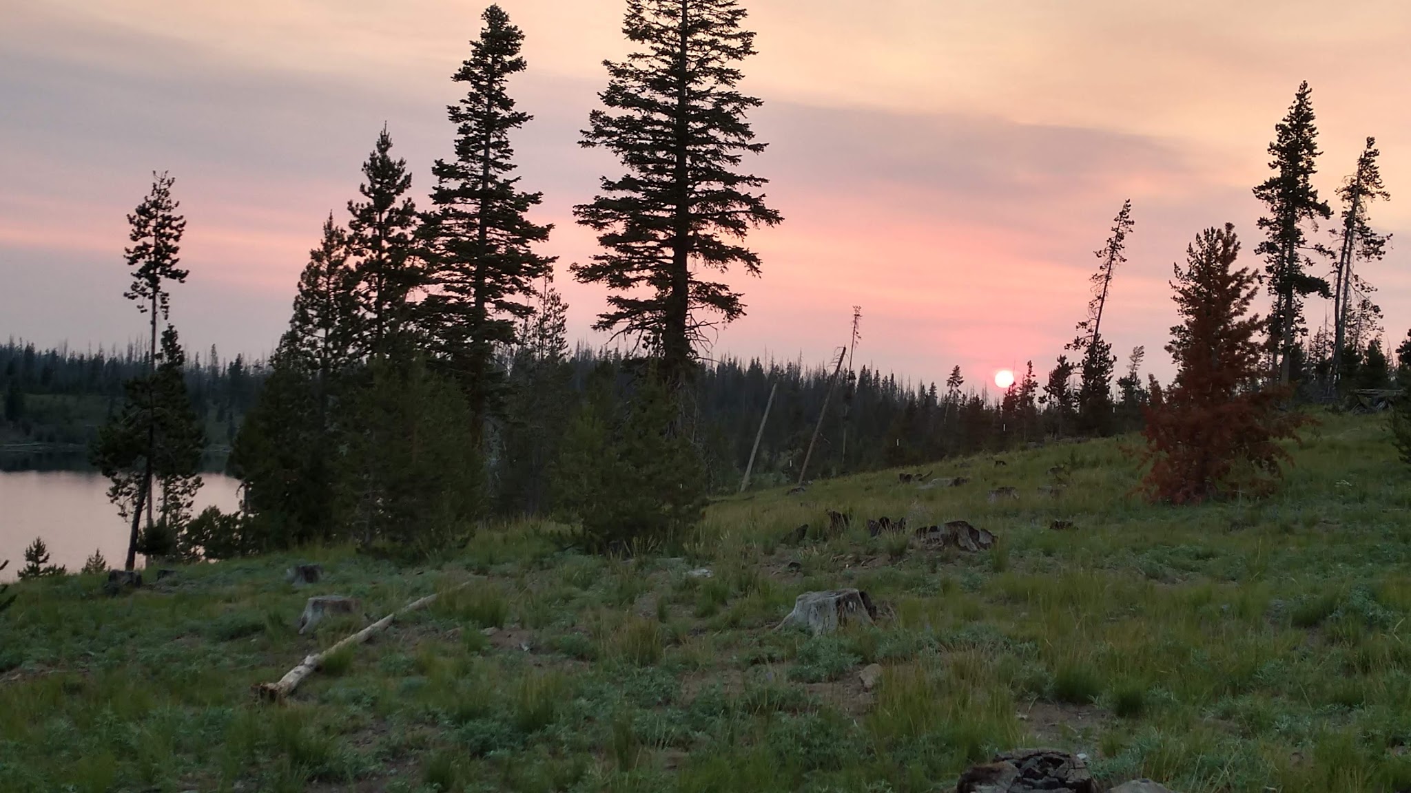 Deadhorse Lake Campground