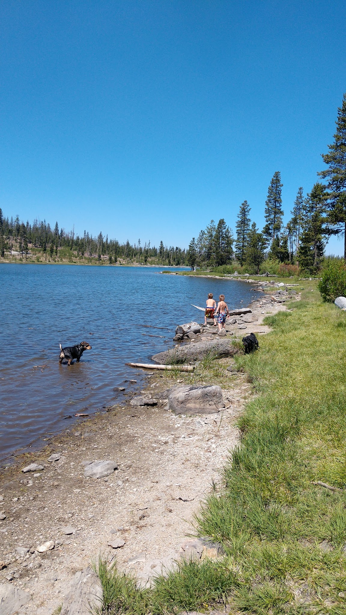 Deadhorse Lake Campground