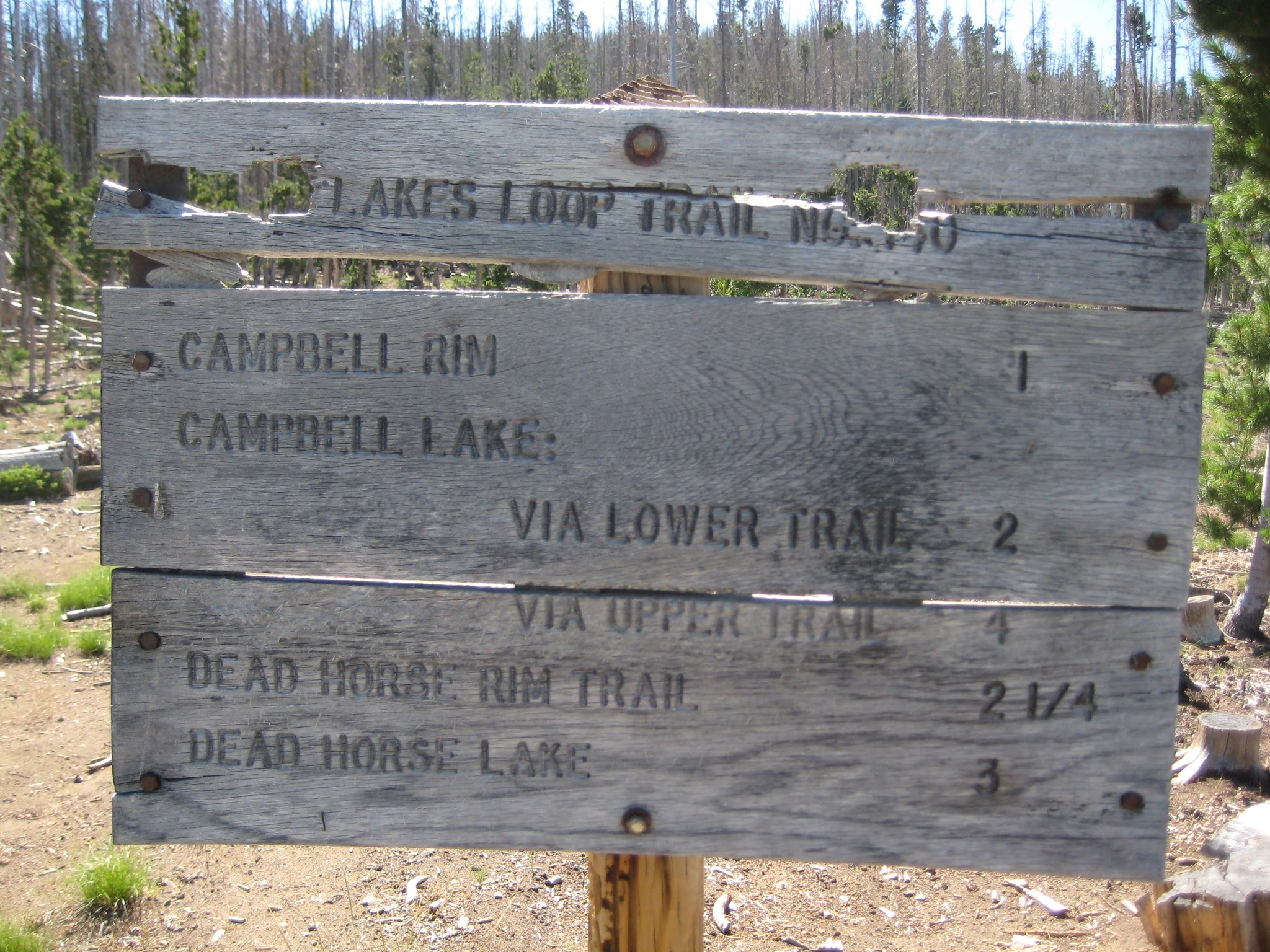 Deadhorse Lake Campground