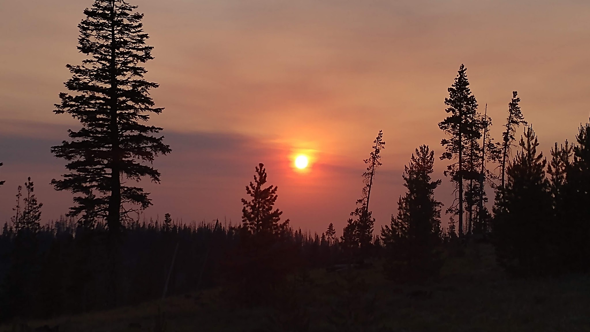 Deadhorse Lake Campground