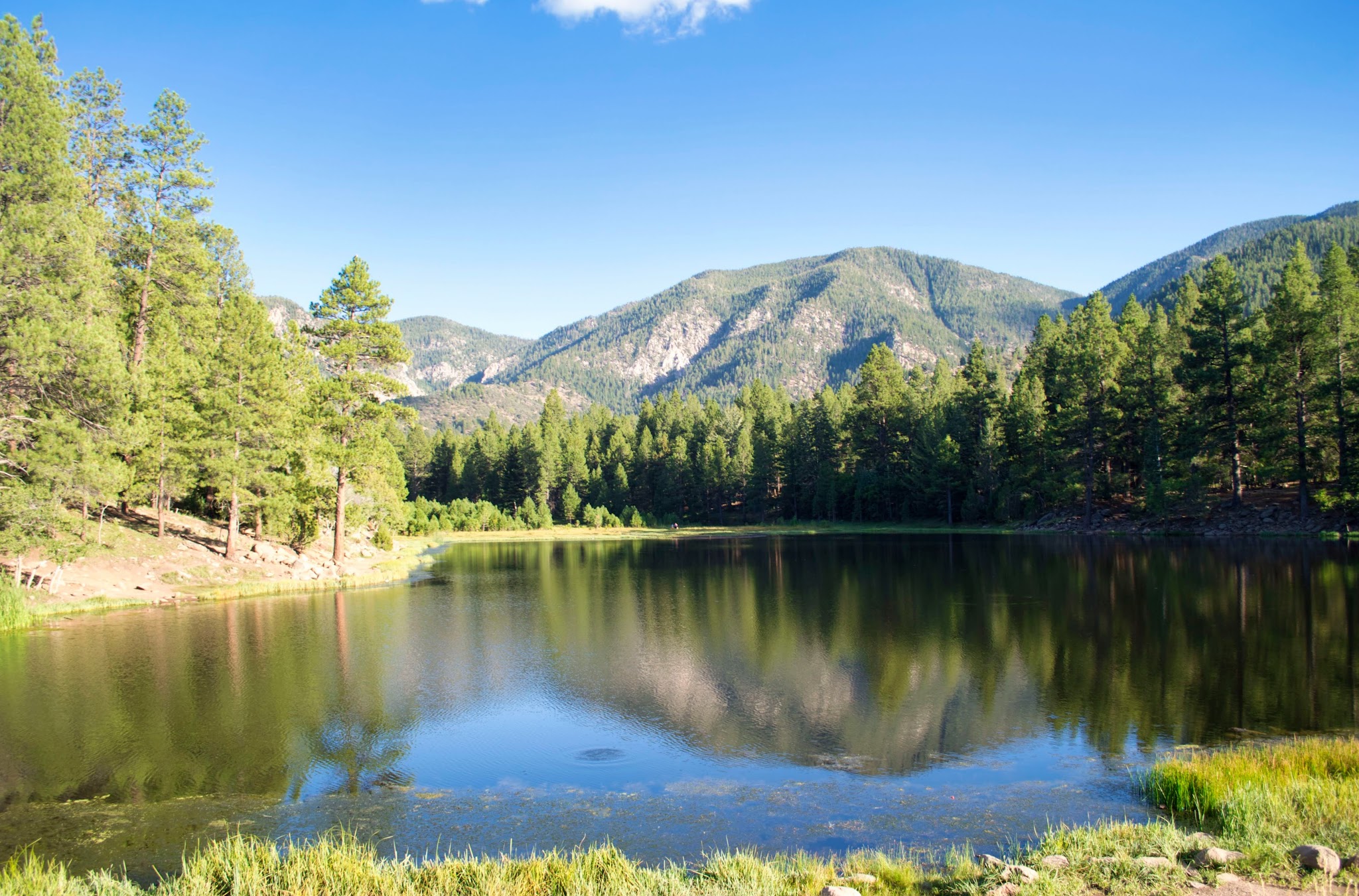 Dean Gardner Campground