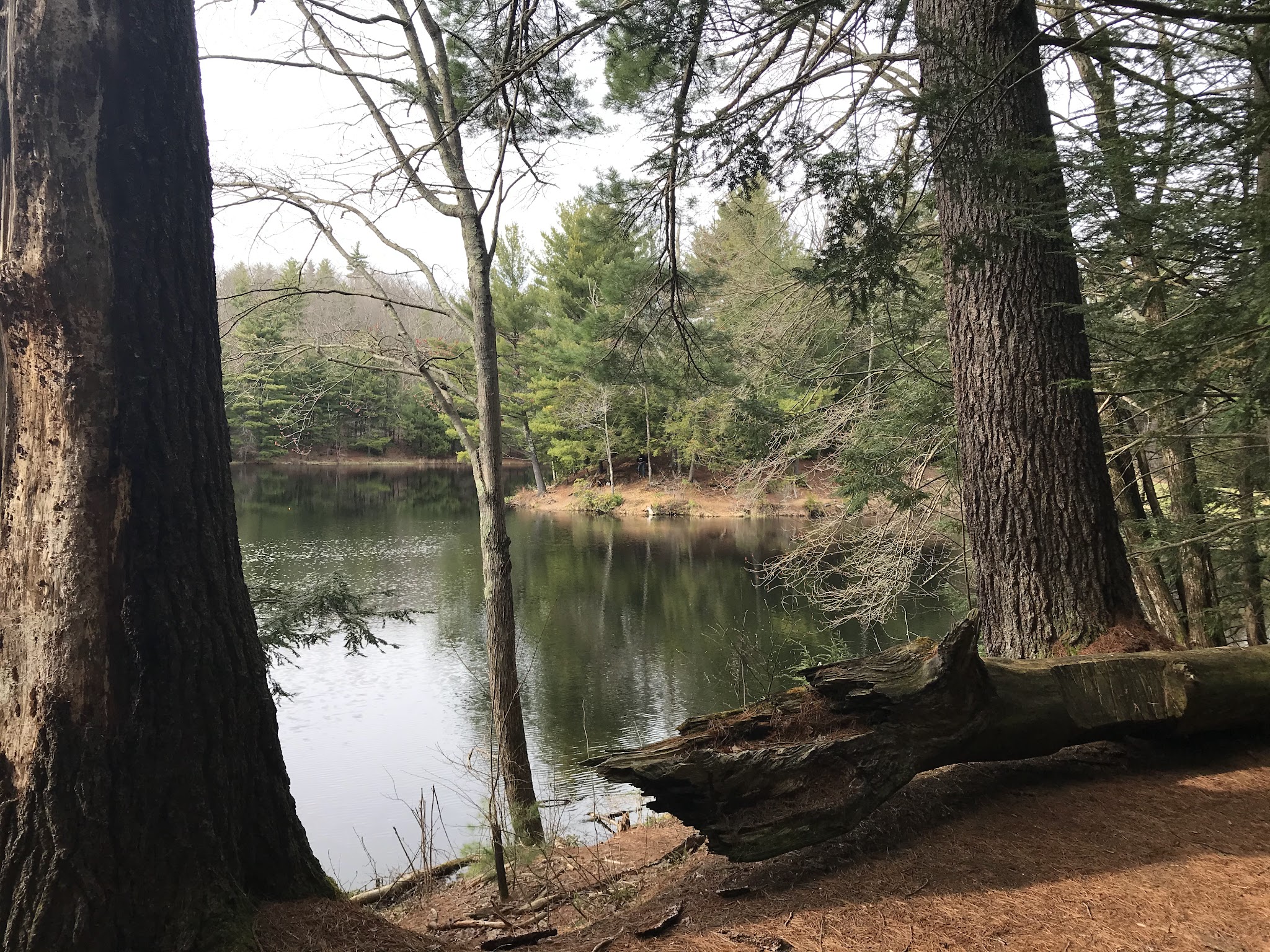 Dean Pond Recreation Area
