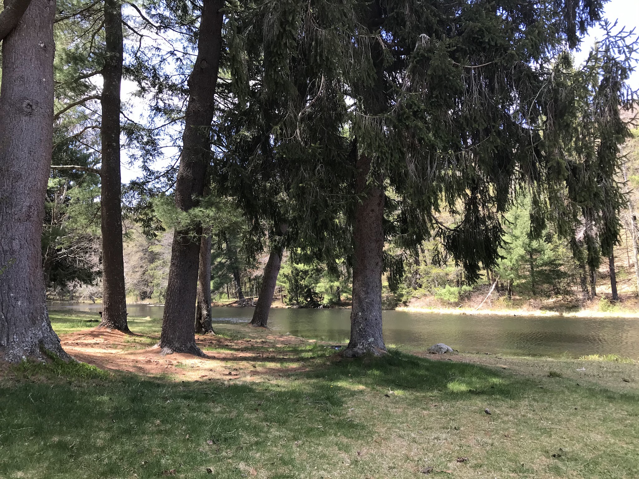 Dean Pond Recreation Area