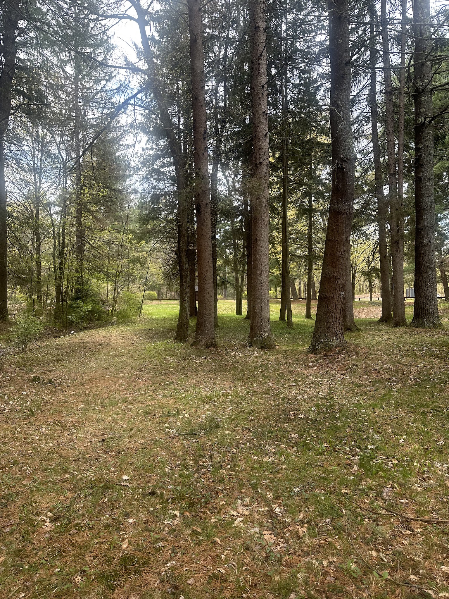 Dean Pond Recreation Area