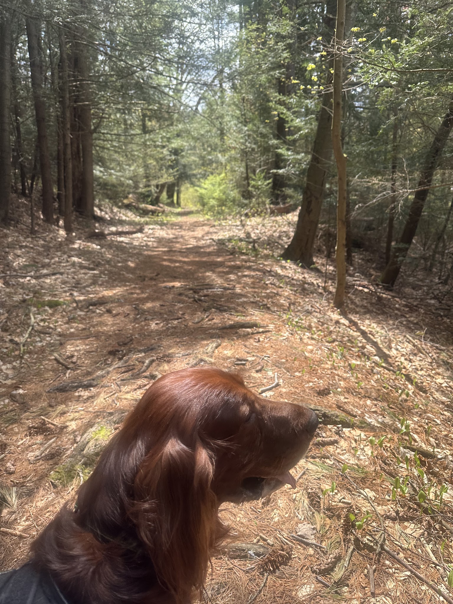 Dean Pond Recreation Area