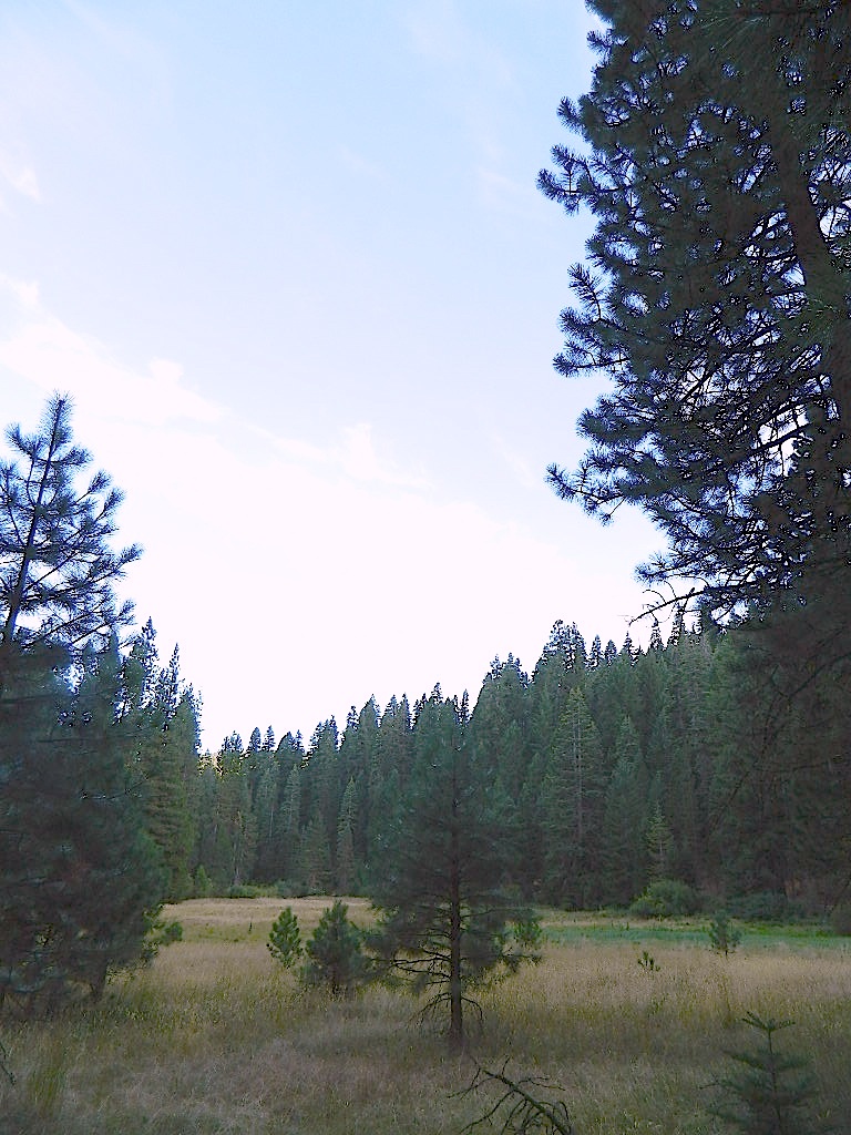 Deanes Valley Campground