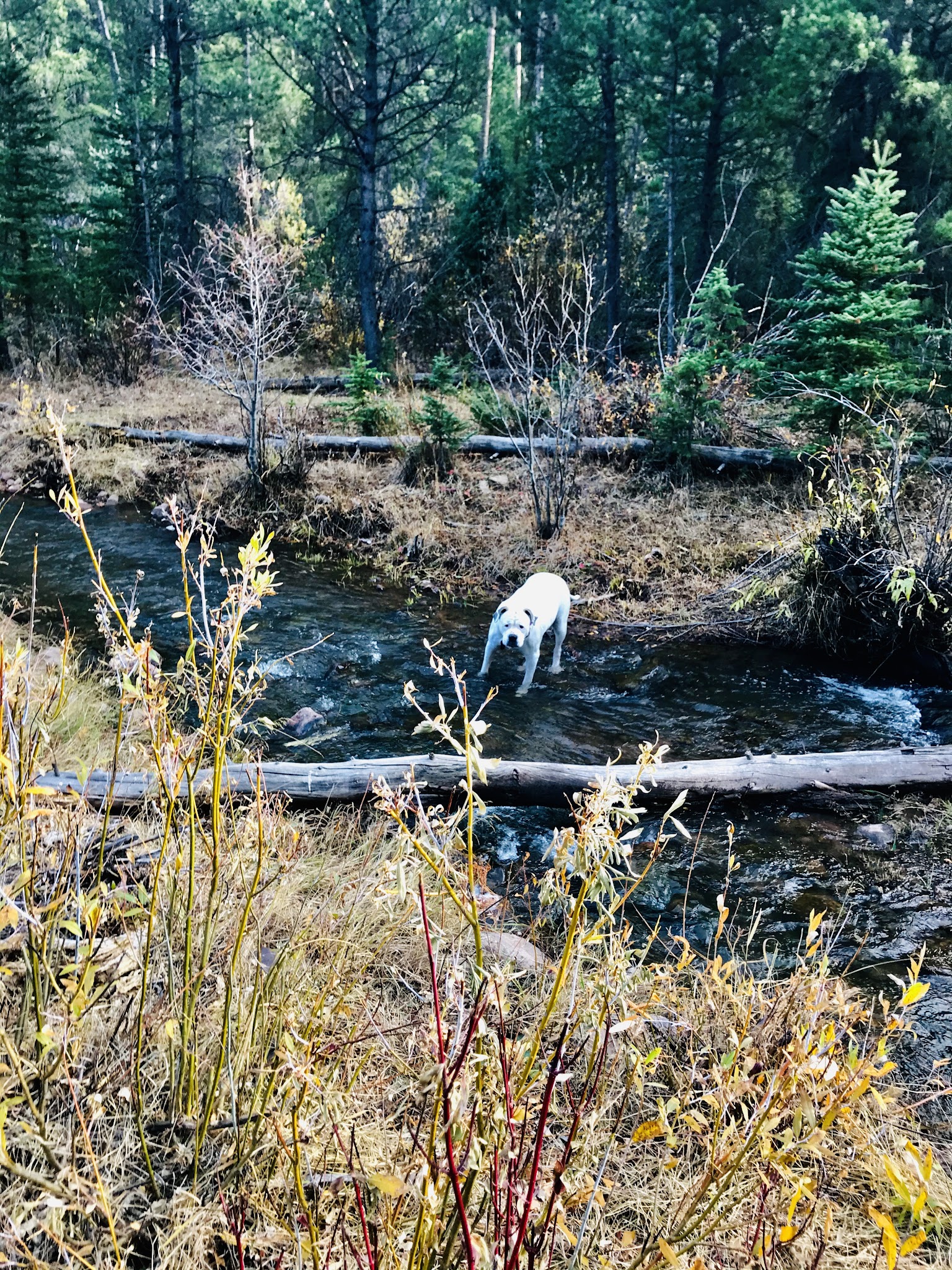 Deep Creek Campground