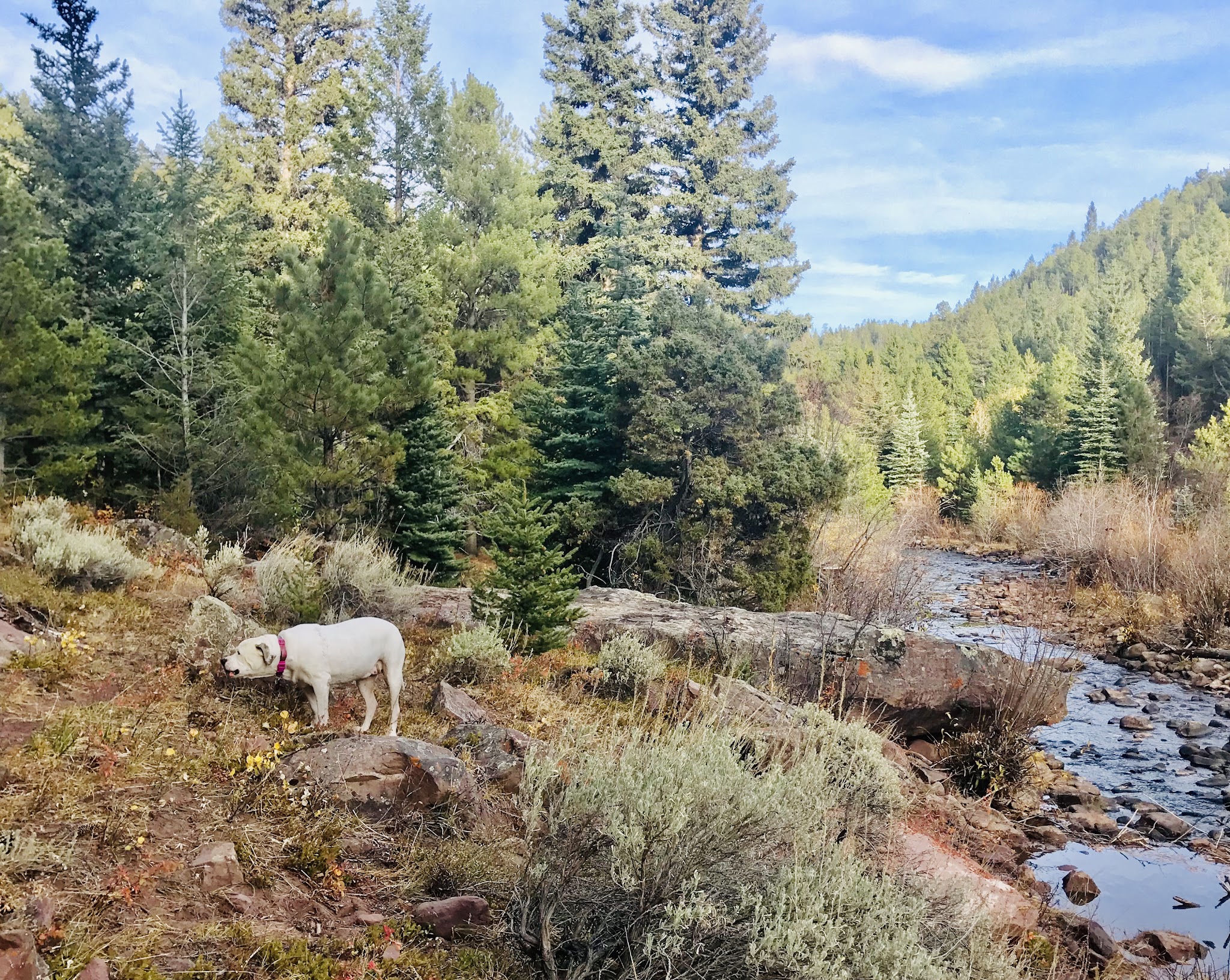 Deep Creek Campground