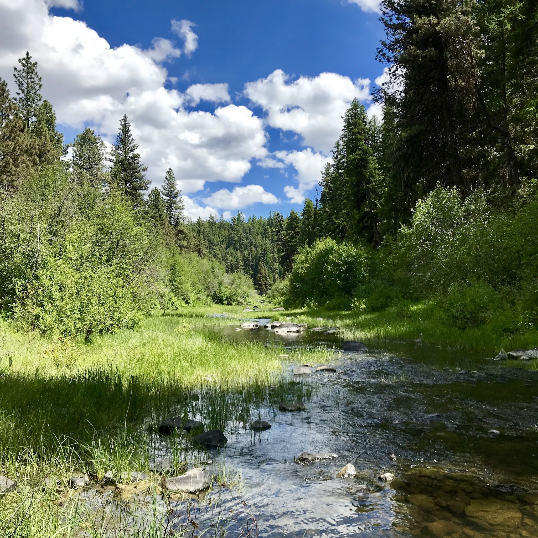 Deep Creek Campground