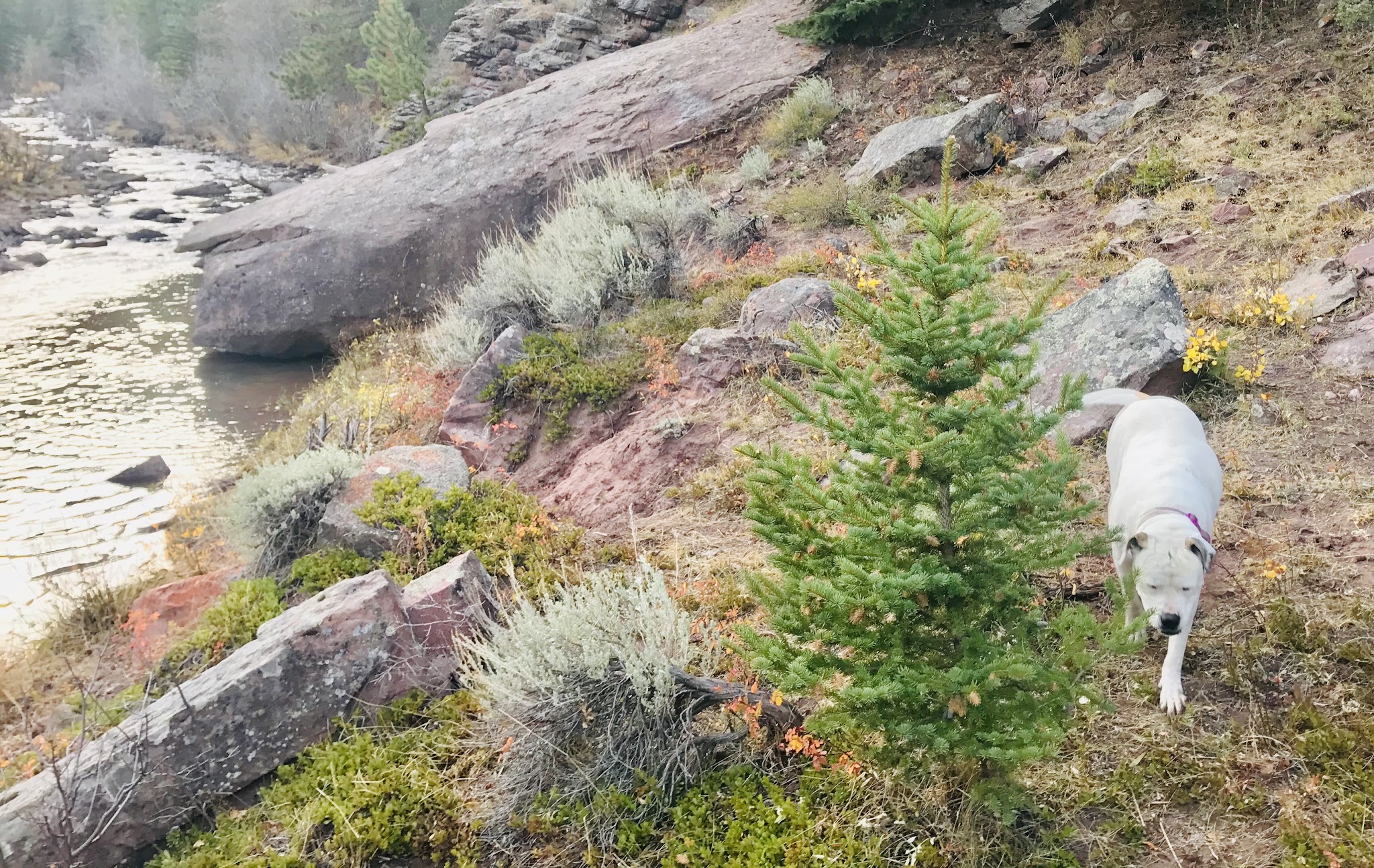 Deep Creek Campground