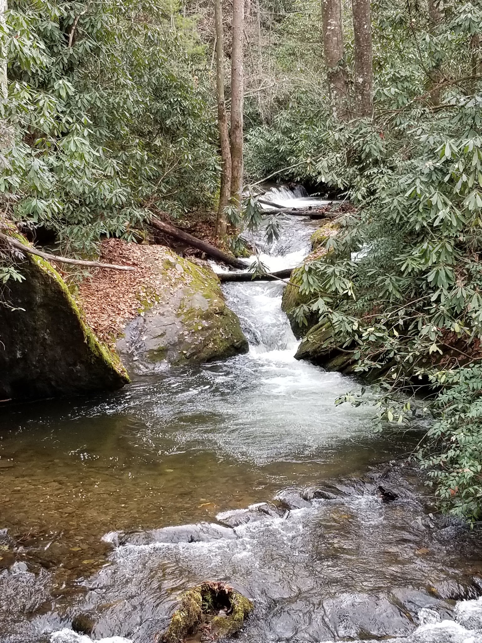 Deep Creek Campground (Nc)