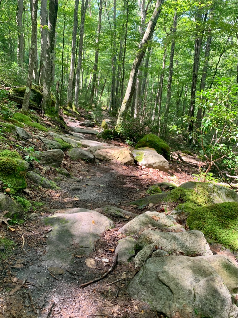 Deep Creek Lake State Park