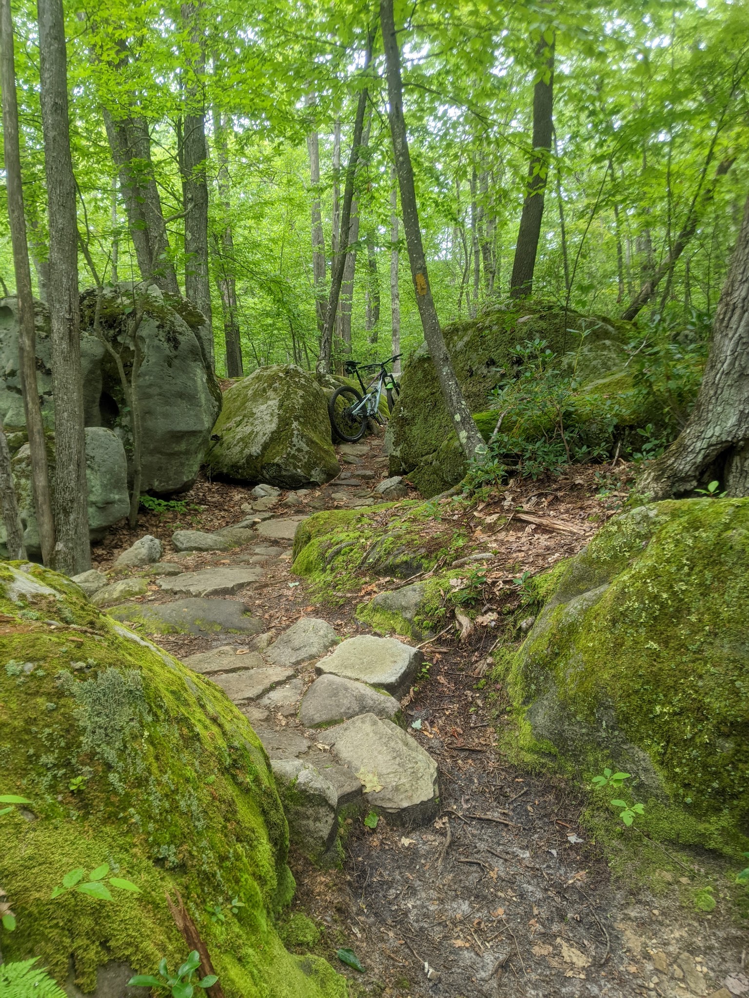 Deep Creek Lake State Park