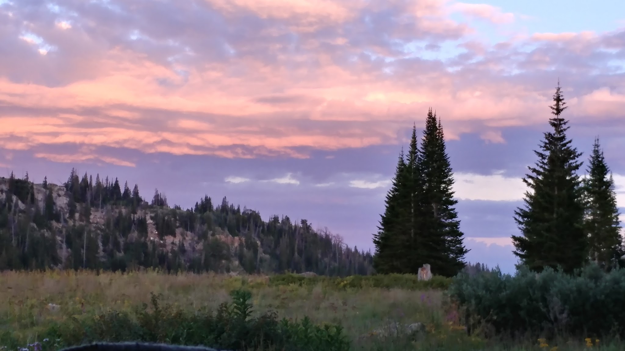 Deep Lake Campground