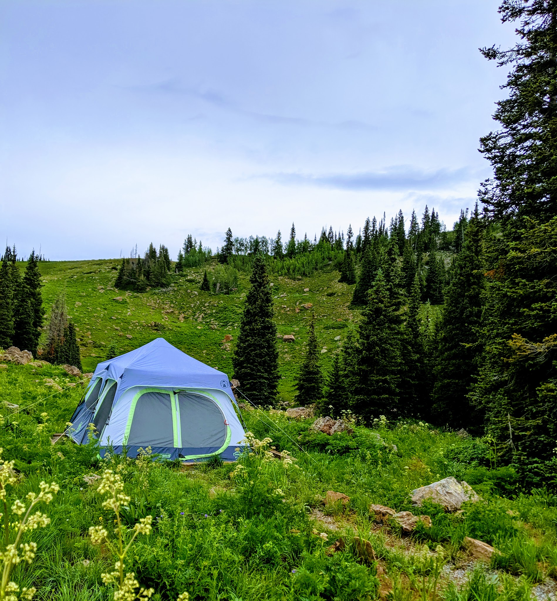 Deep Lake Campground