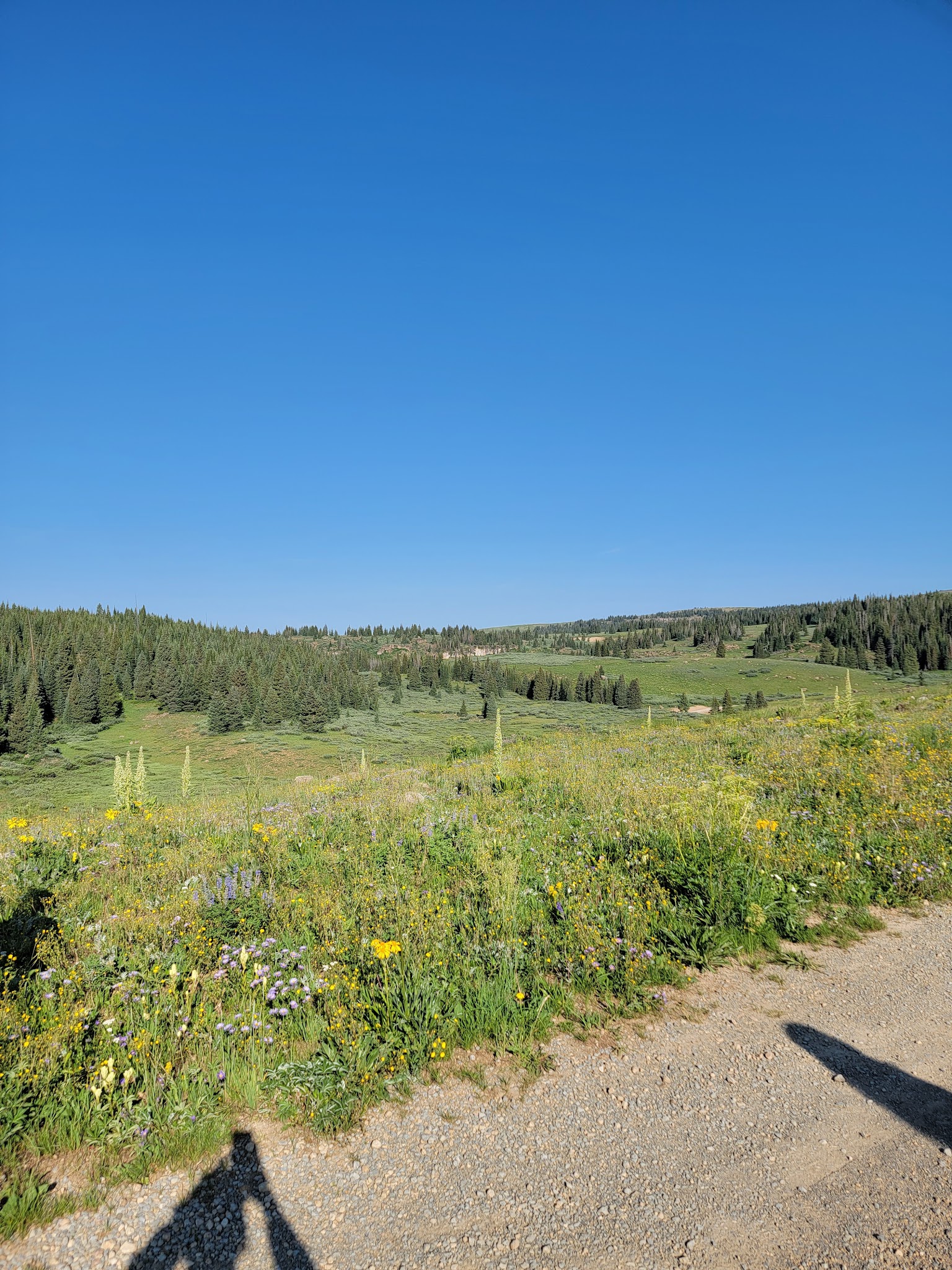 Deep Lake Campground