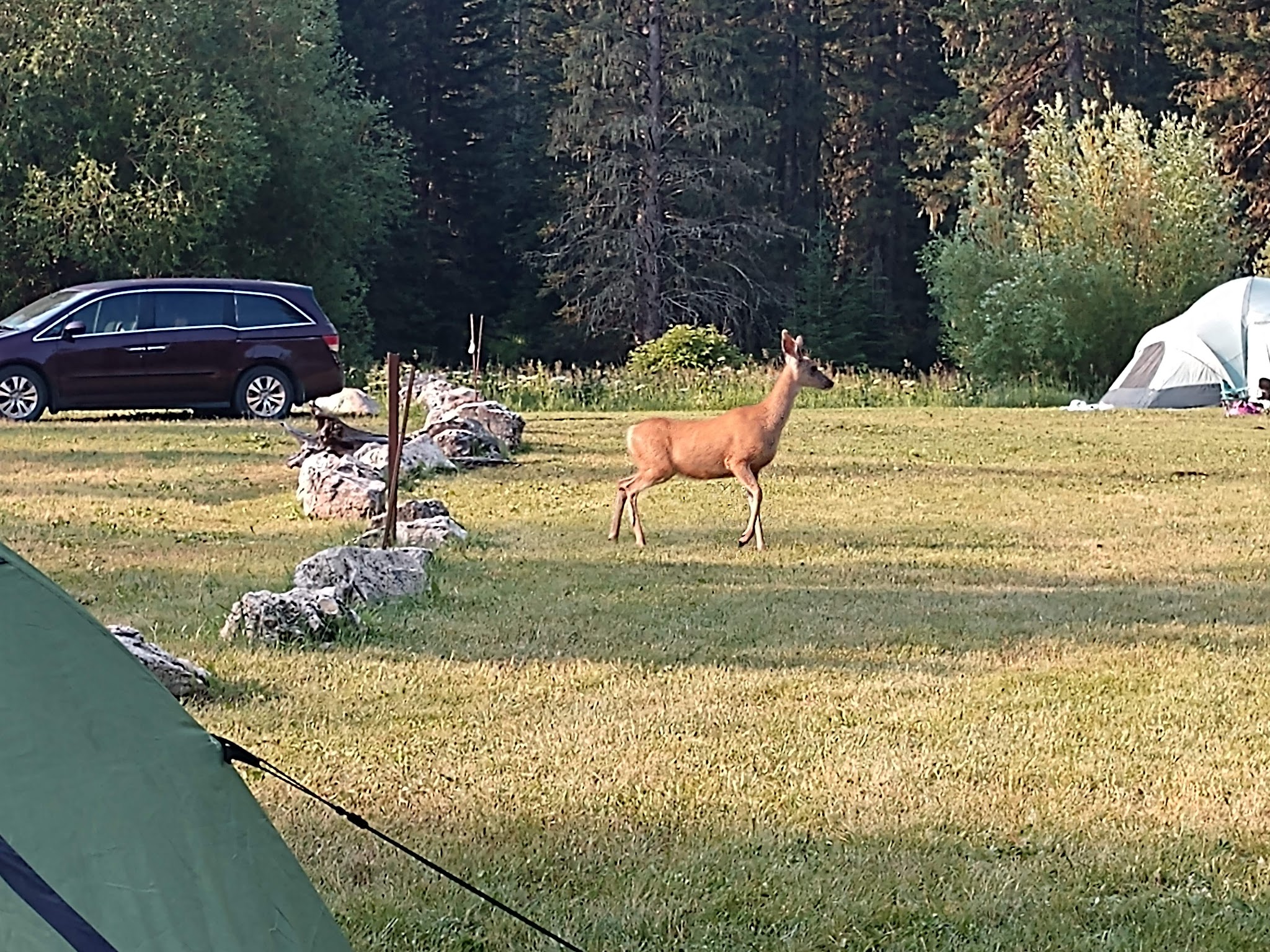 Beaver Creek Campground