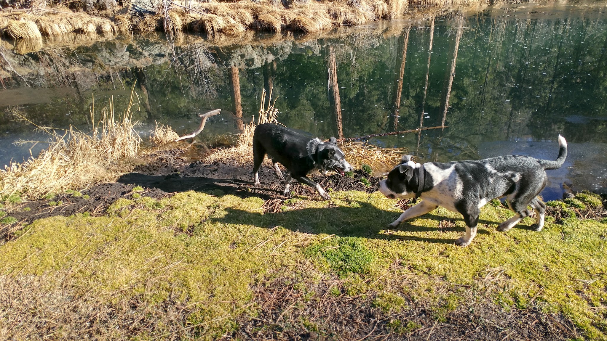 Deer Creek Campground