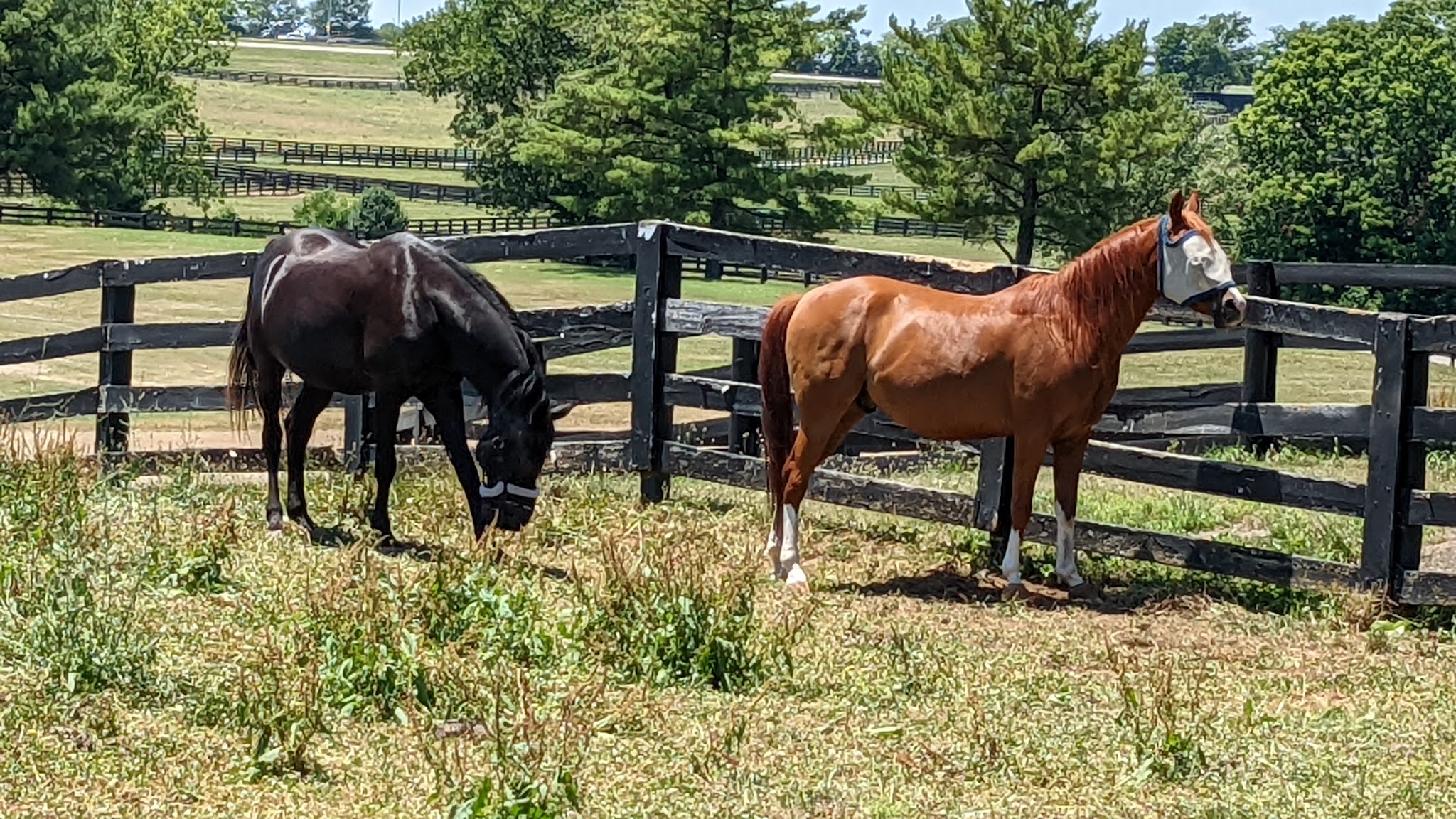 Deer Creek Group /Equestrian Campground