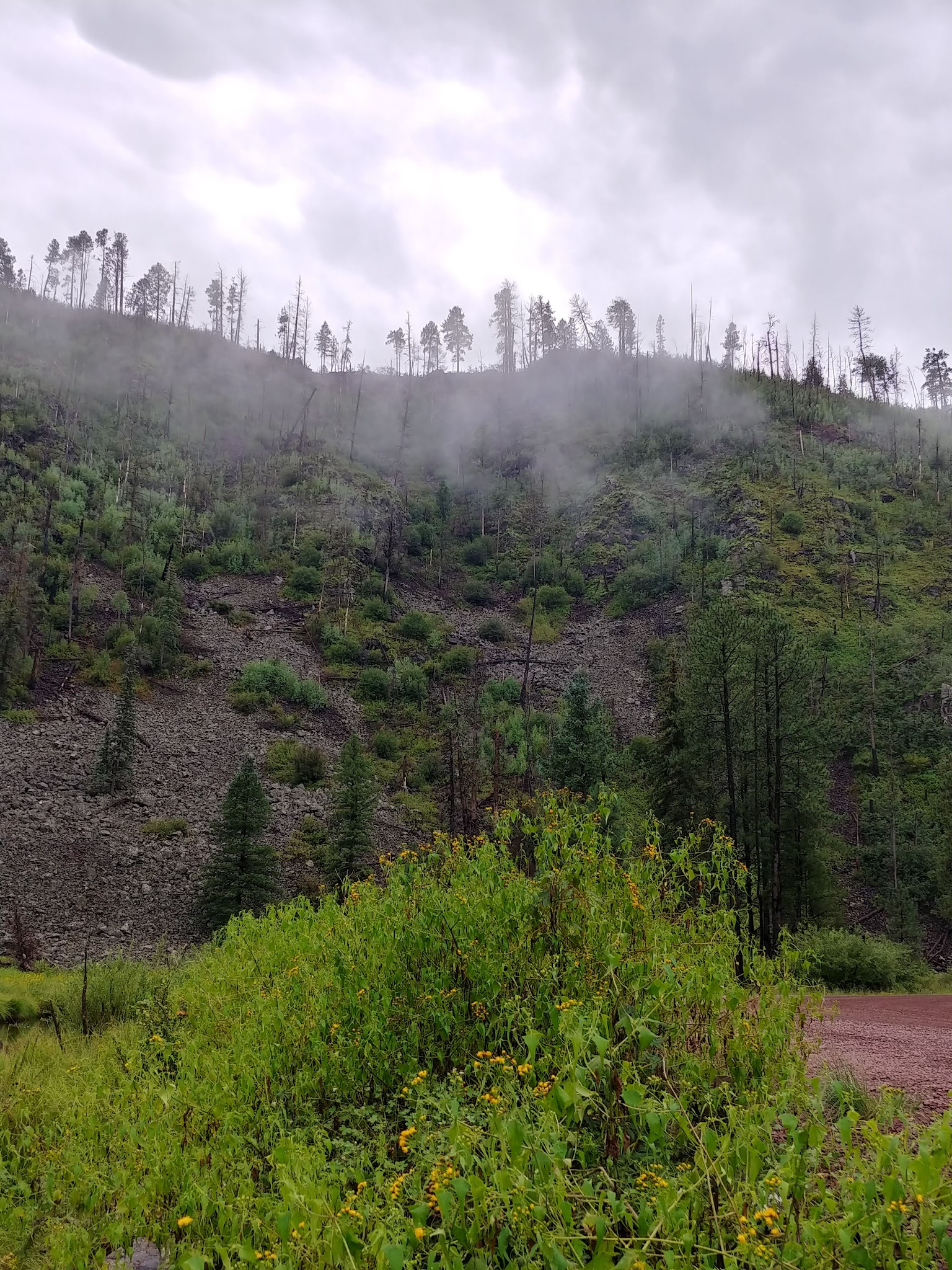 Deer Creek Campground