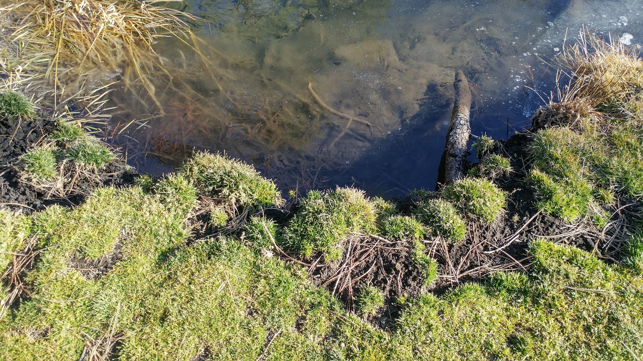 Deer Creek Campground