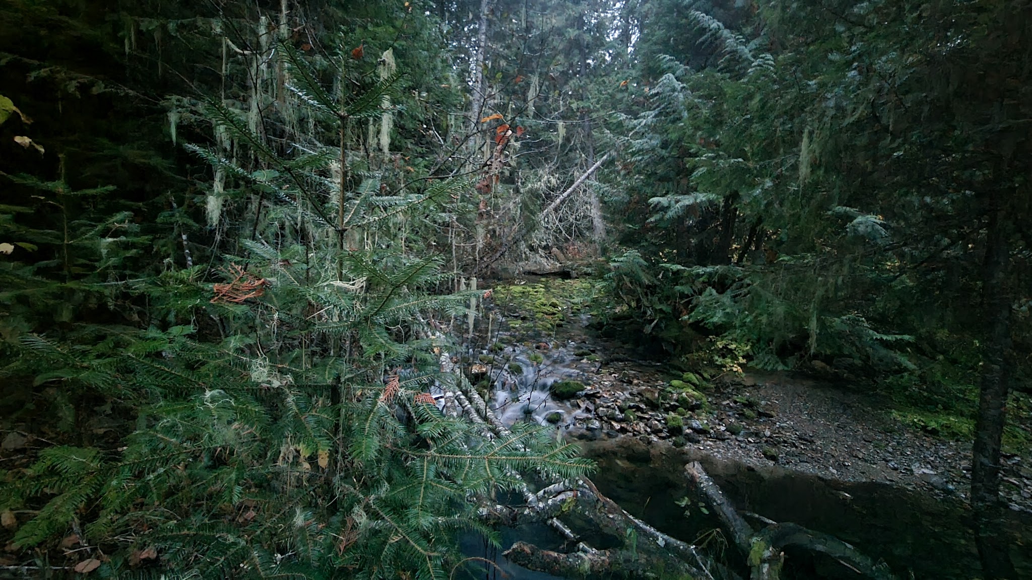 Deer Creek Campground