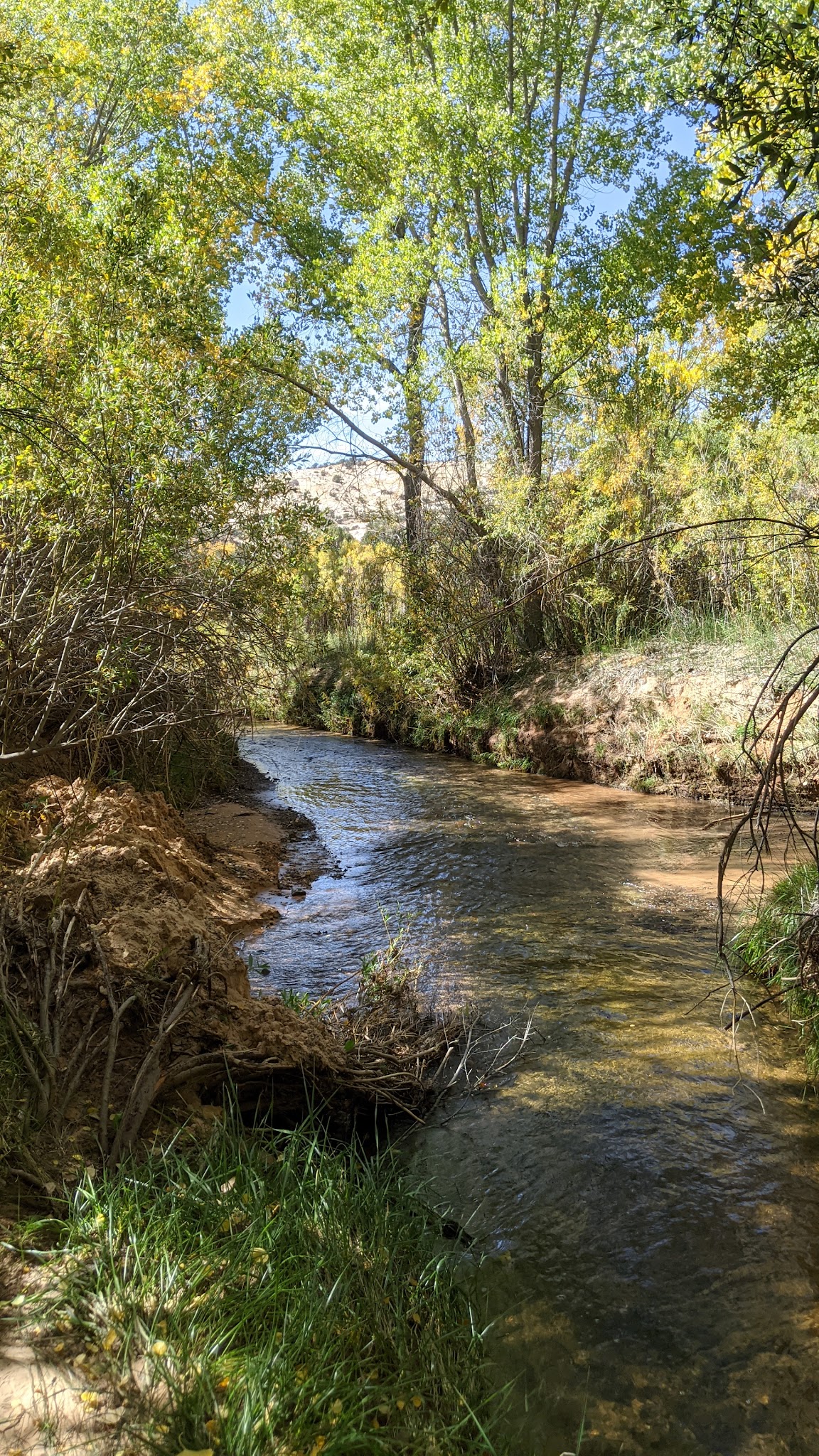 Deer Creek Campground