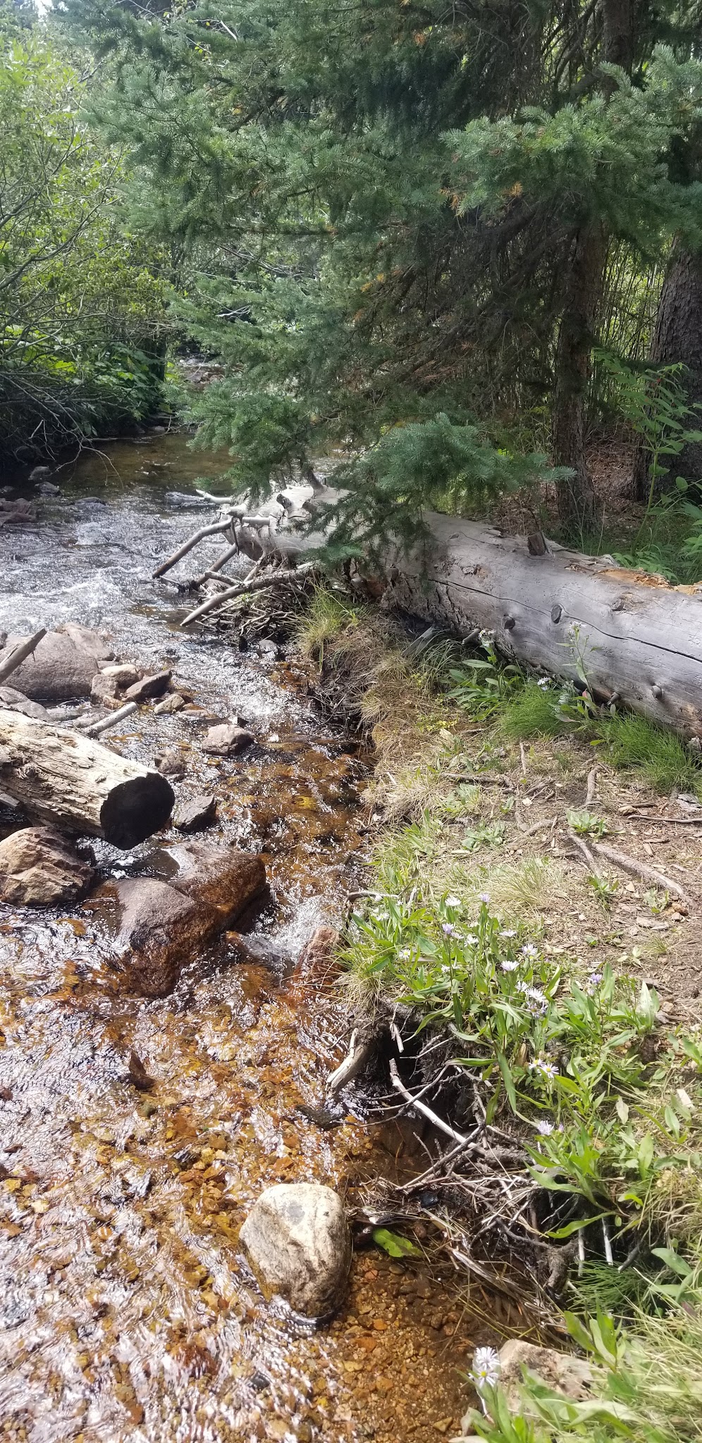 Deer Creek Campground