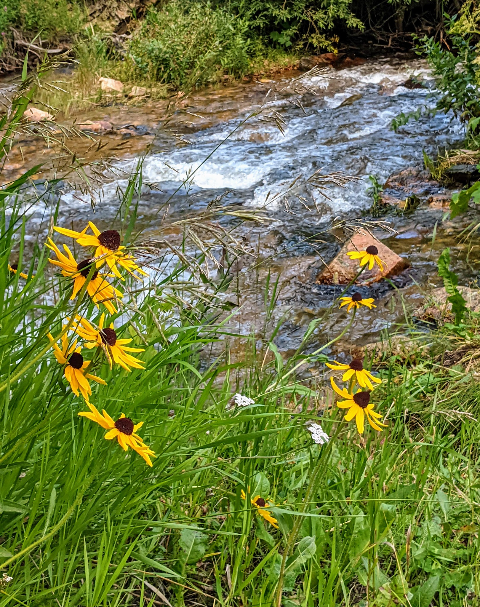 Deer Creek Campground