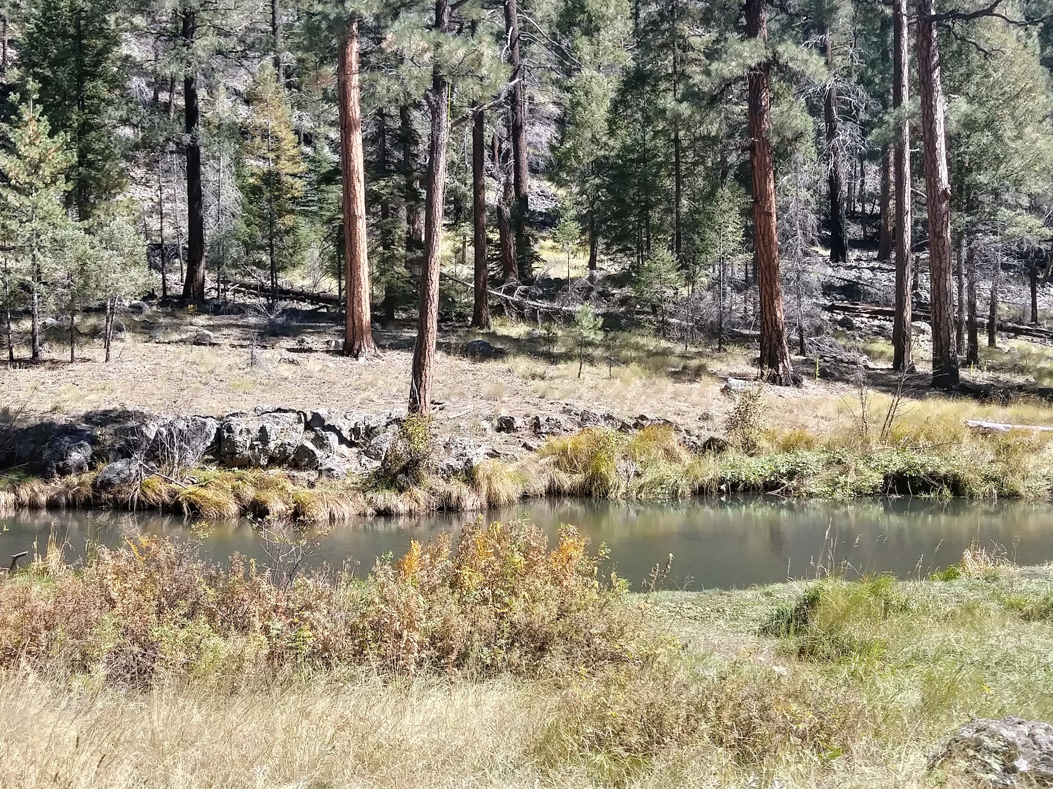 Deer Creek Campground