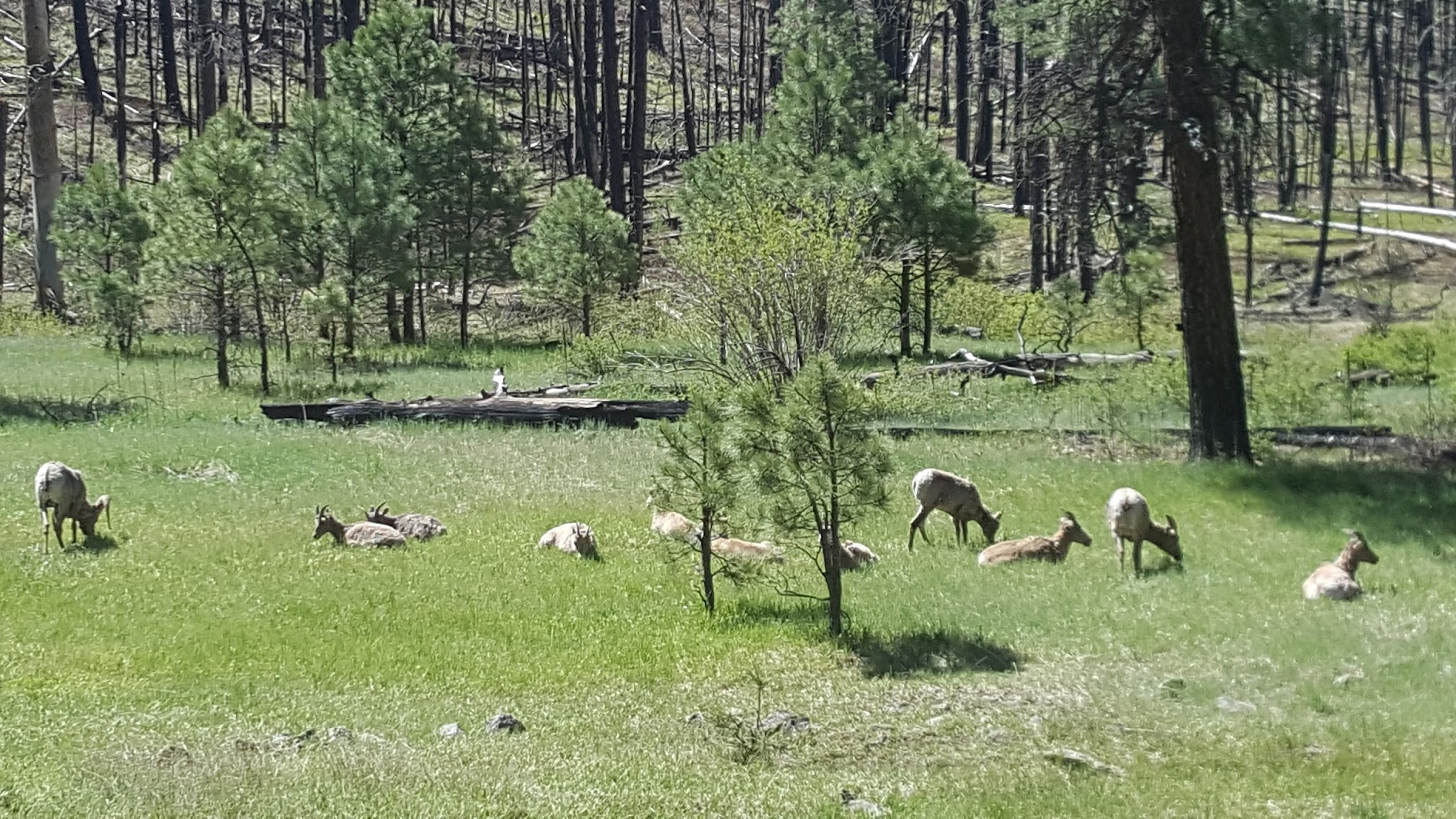 Deer Creek Campground