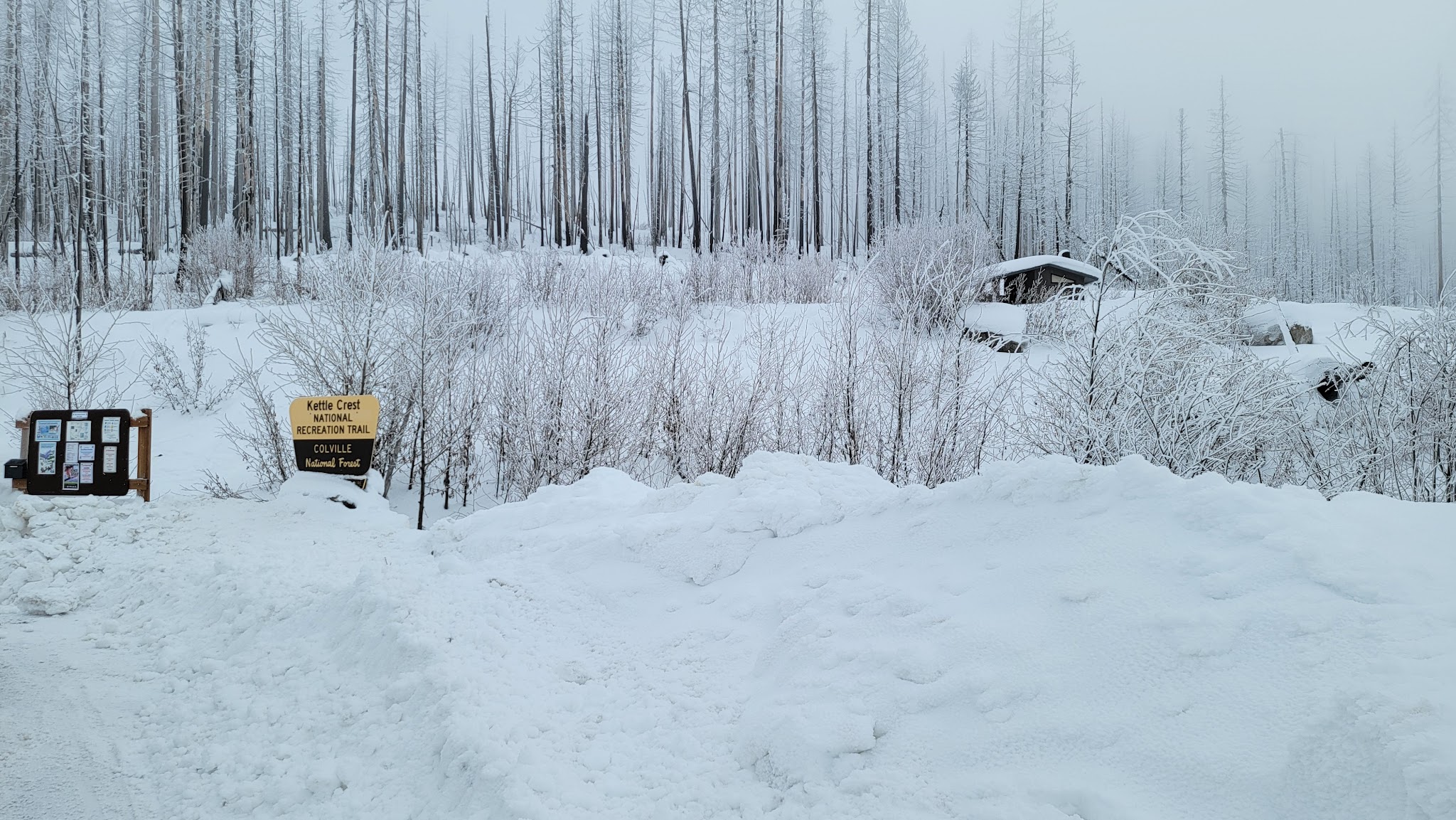 Deer Creek Forest Camp