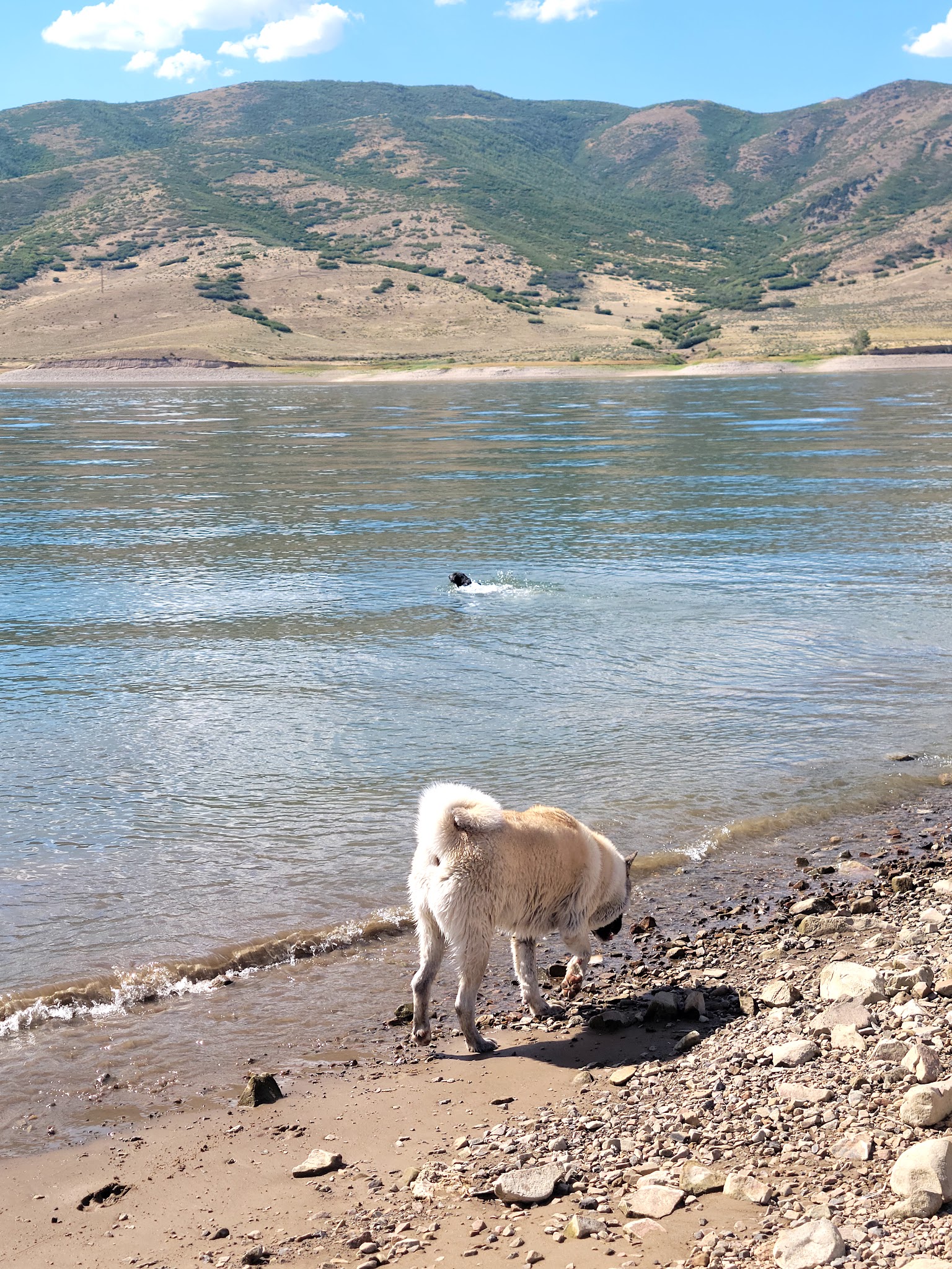 Deer Creek State Park
