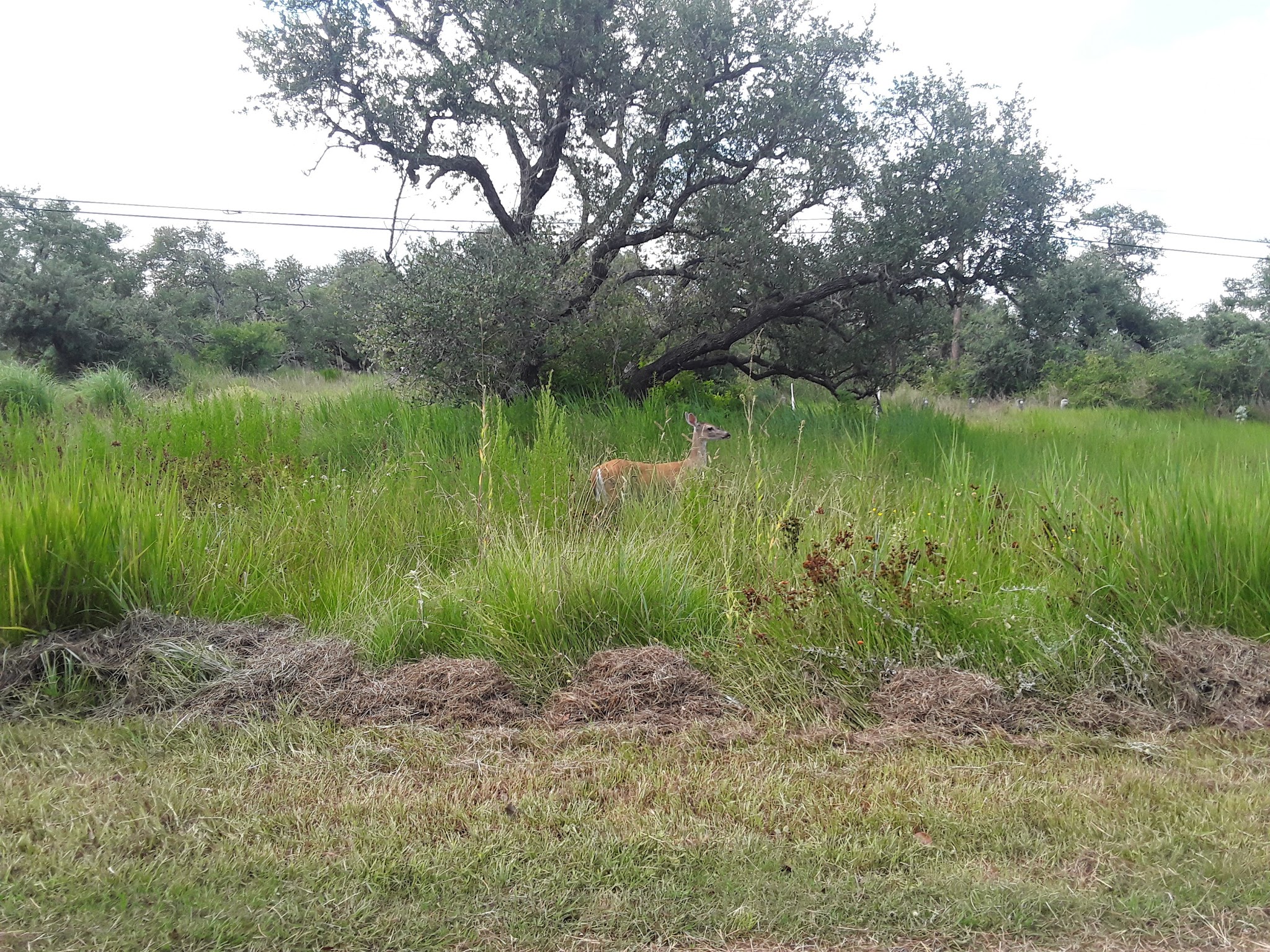 Goose Island State Park