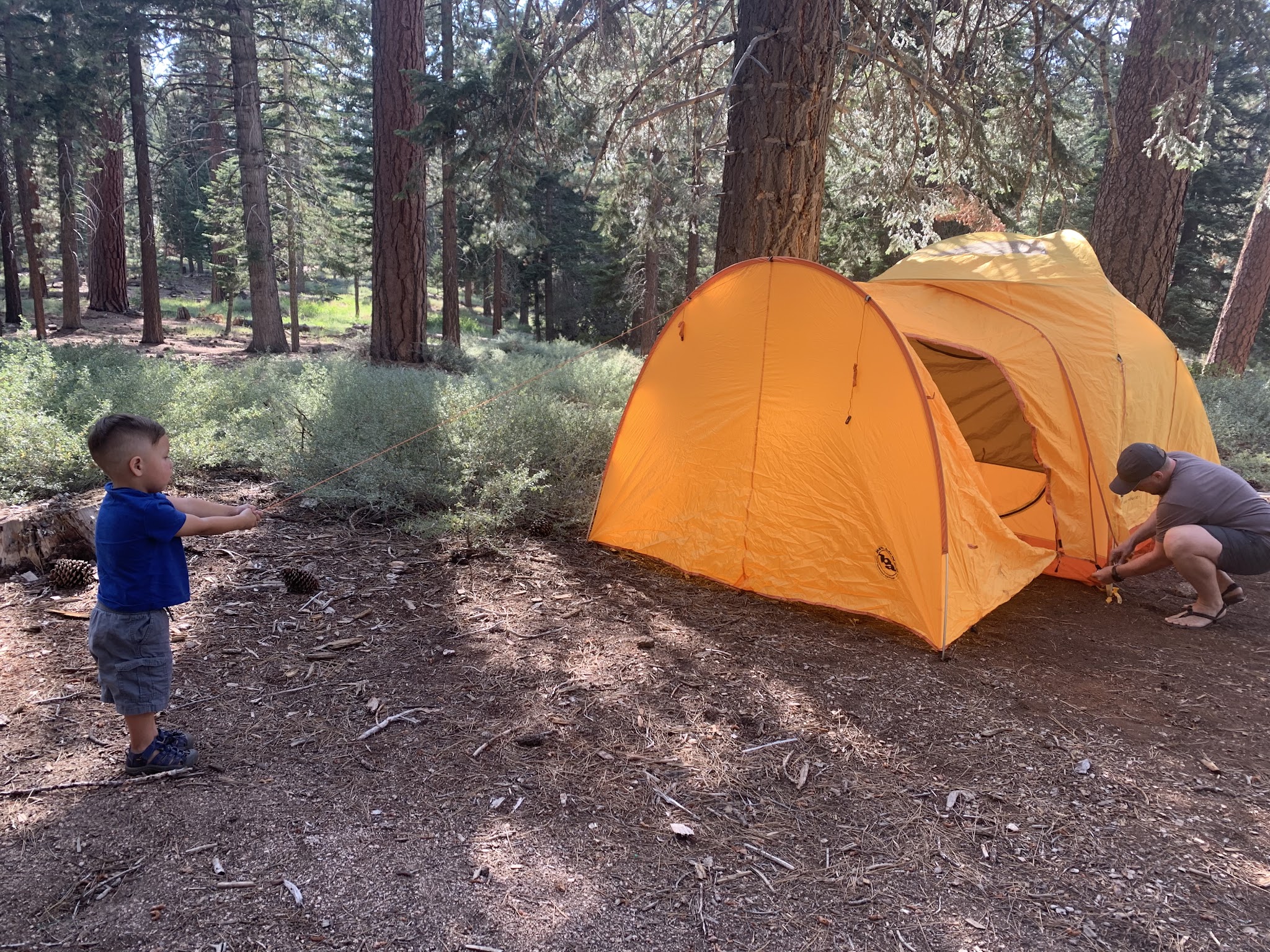 Deer Group Campground