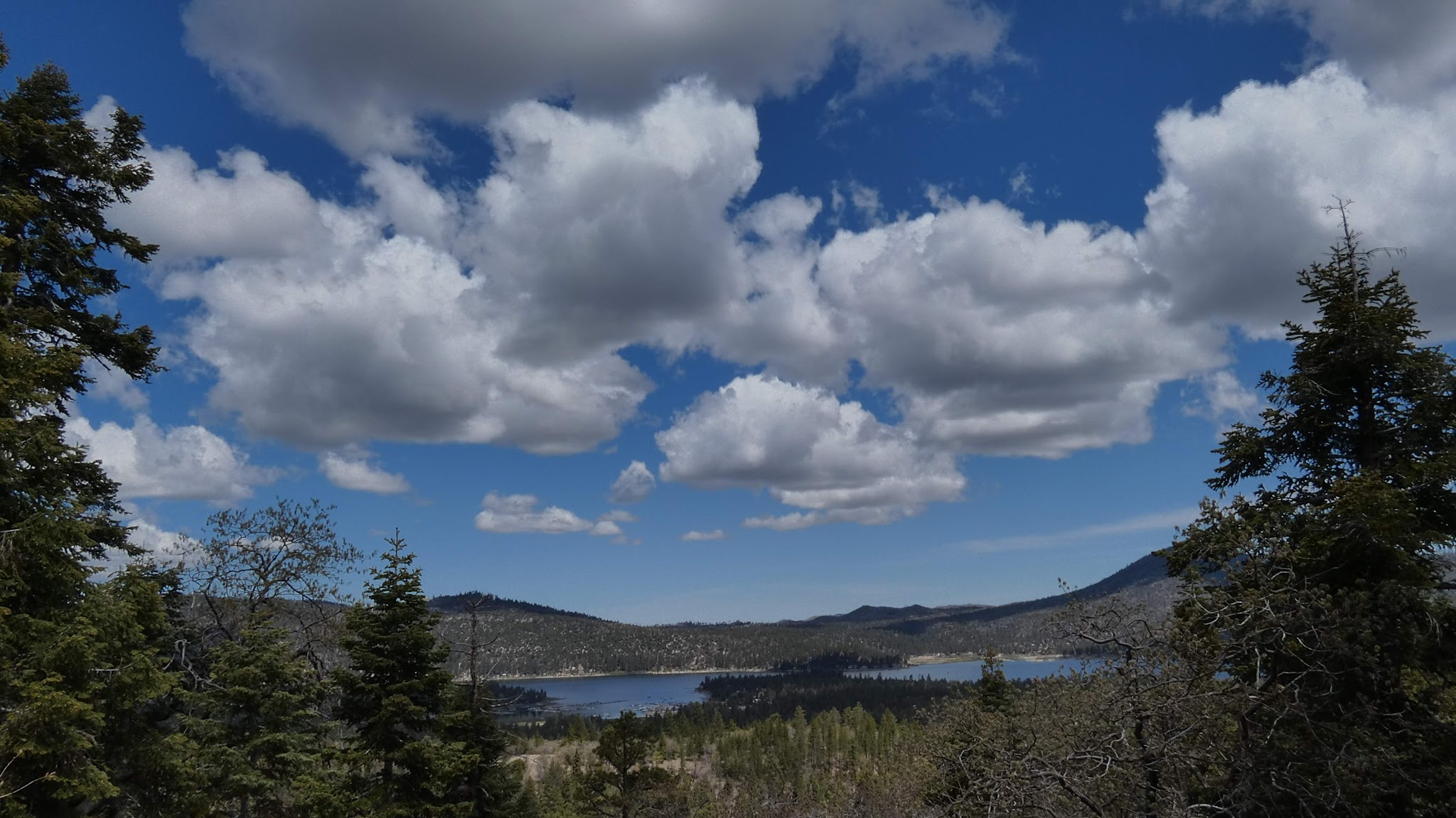 Deer Group Campground