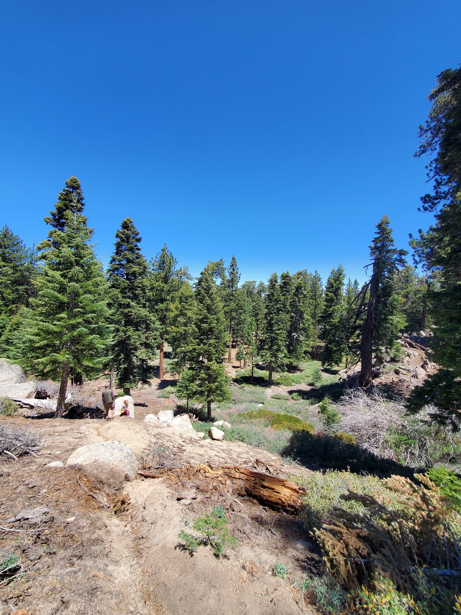 Deer Group Campground