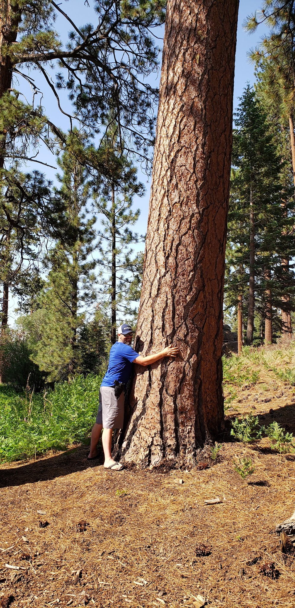 Deer Group Campground