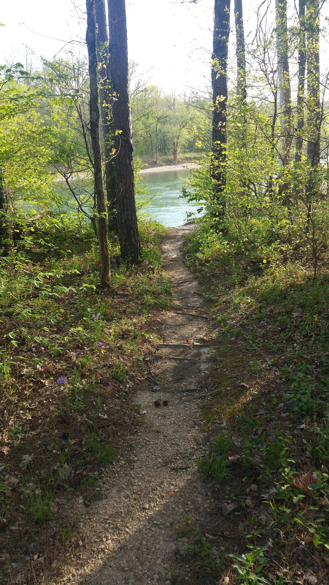 Deer Leap Recreation Area