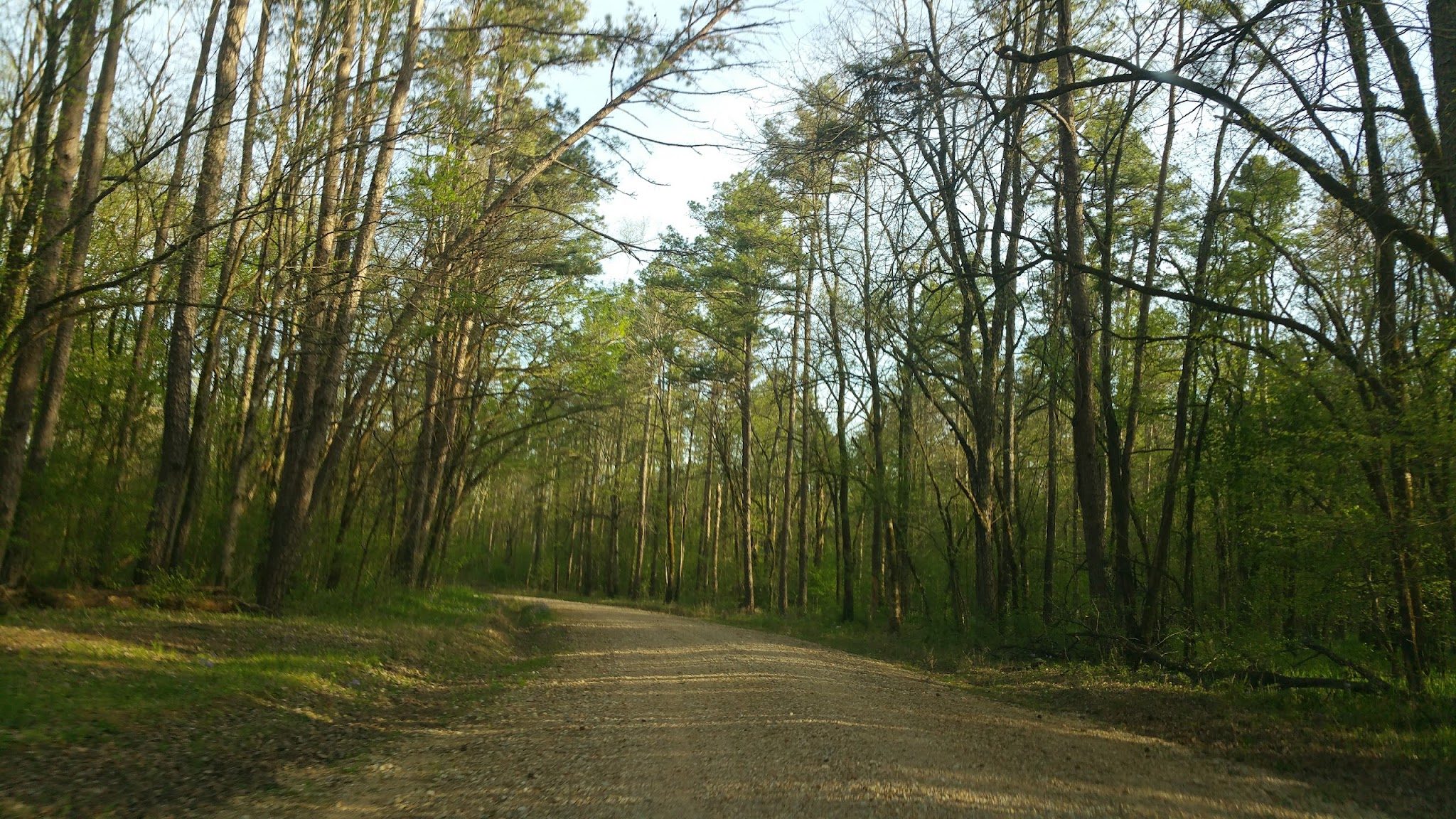 Deer Leap Recreation Area