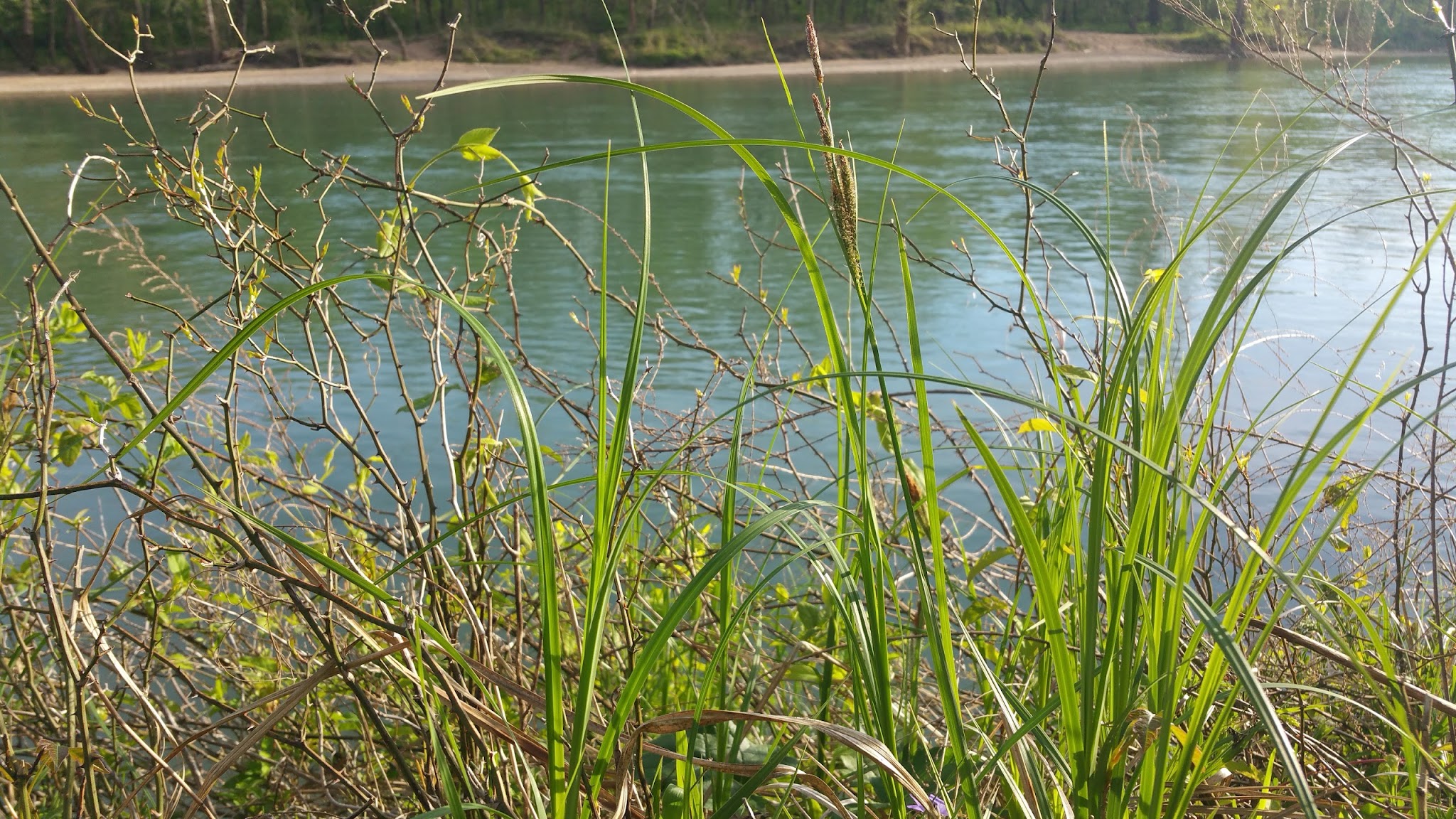 Deer Leap Recreation Area