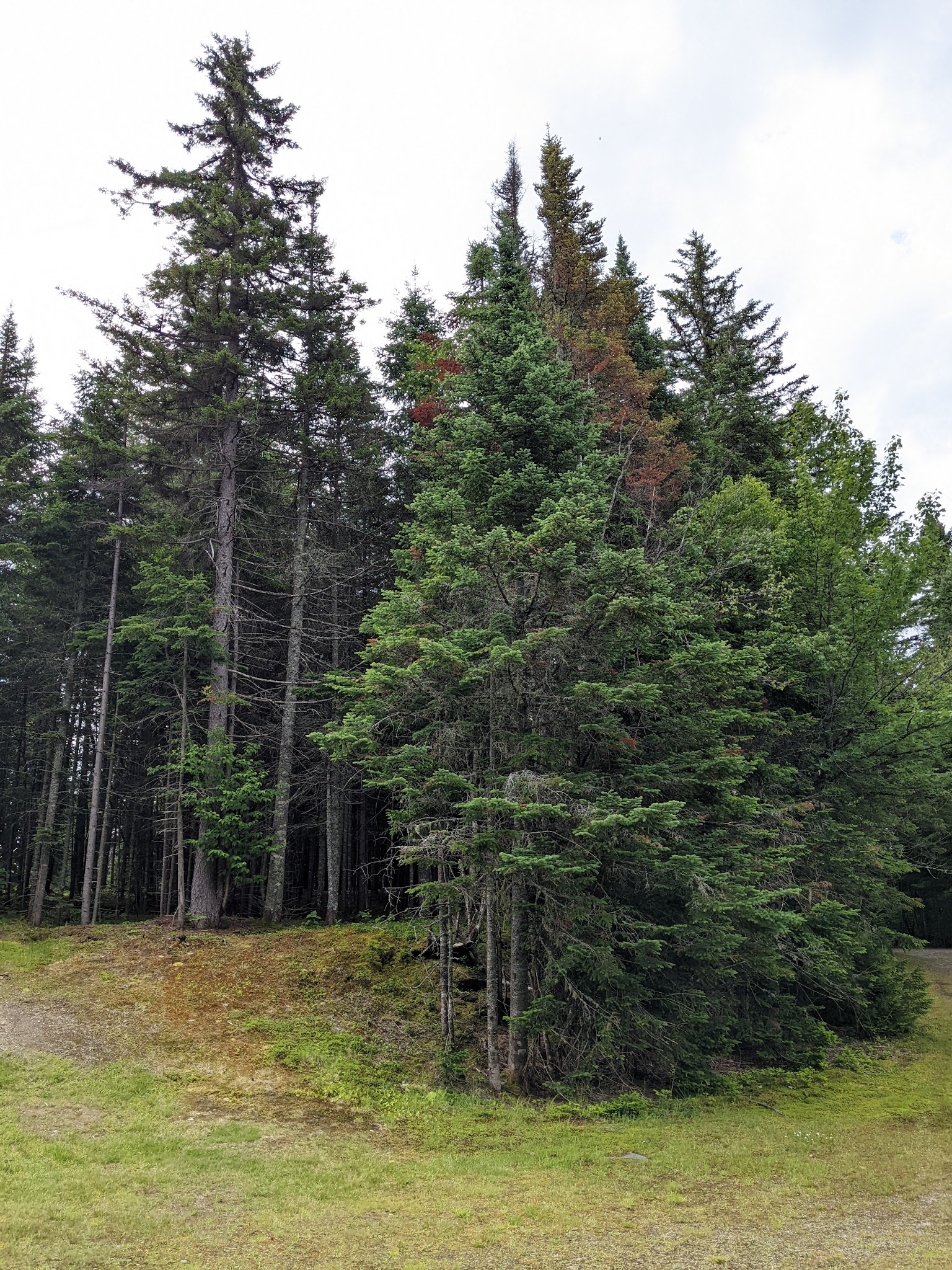 Deer Mountain Campground