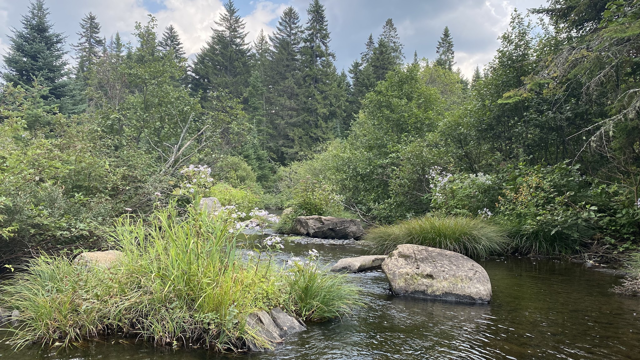 Deer Mountain Campground