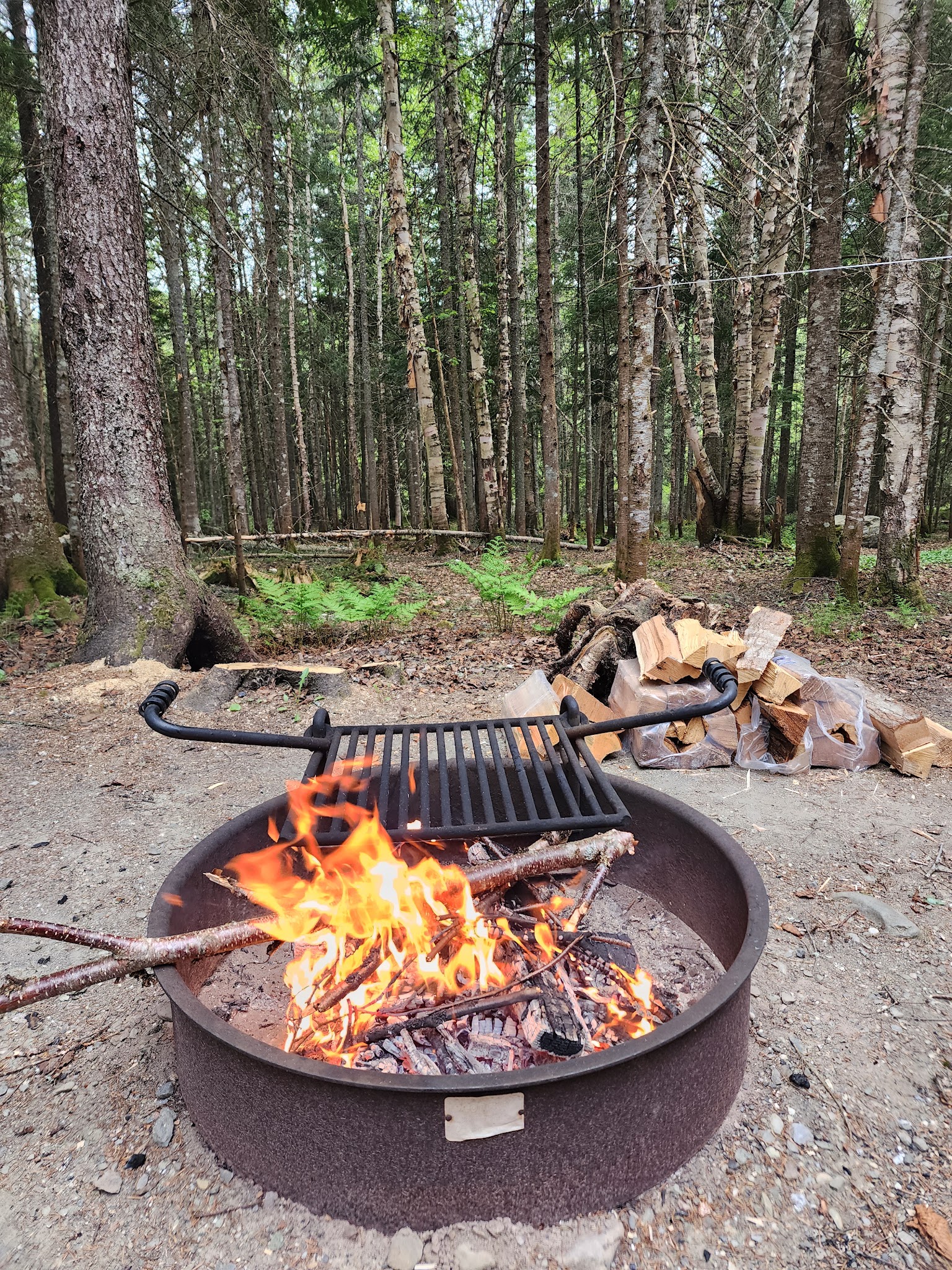 Deer Mountain Campground