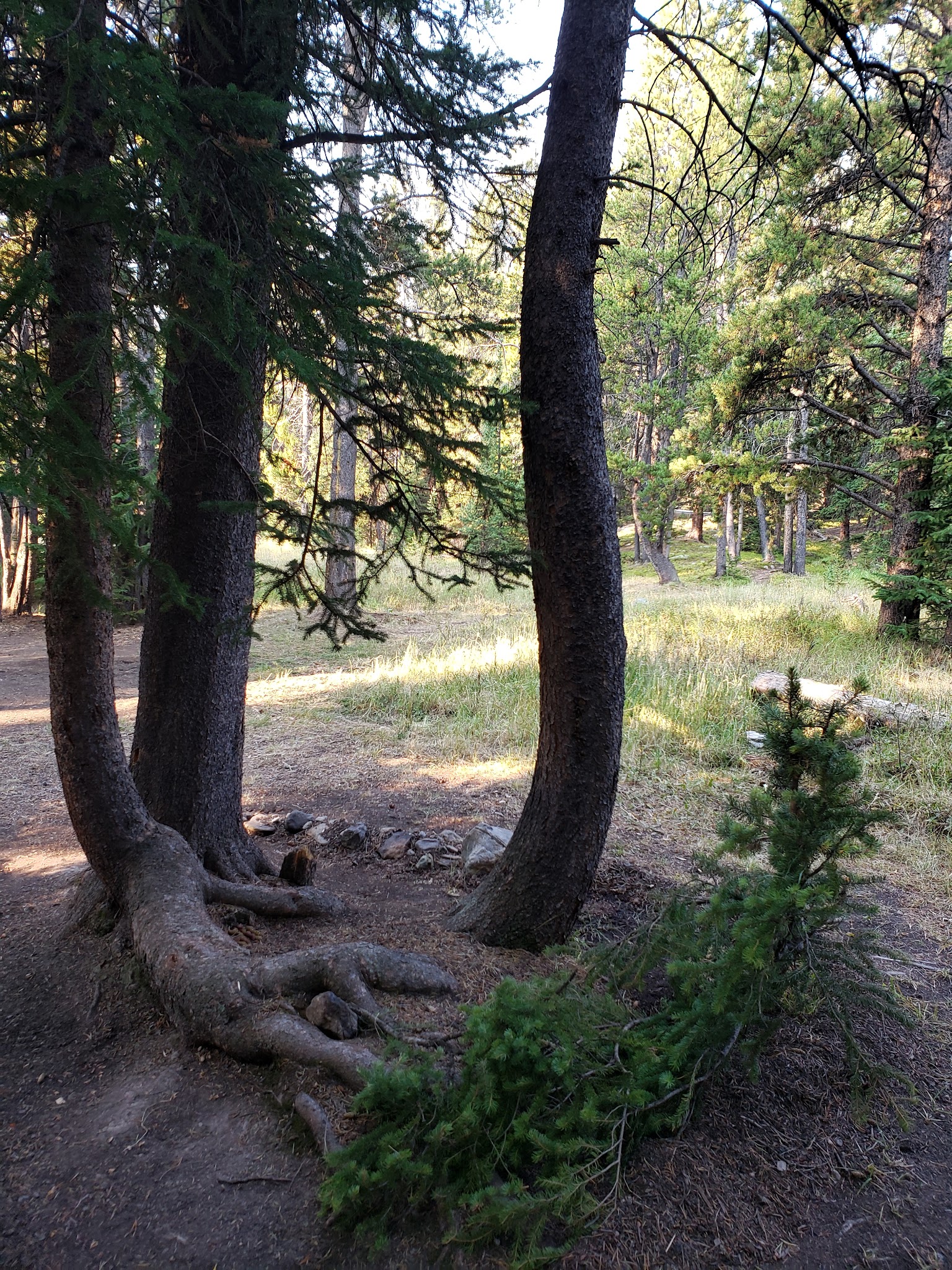 Deer Park Campground