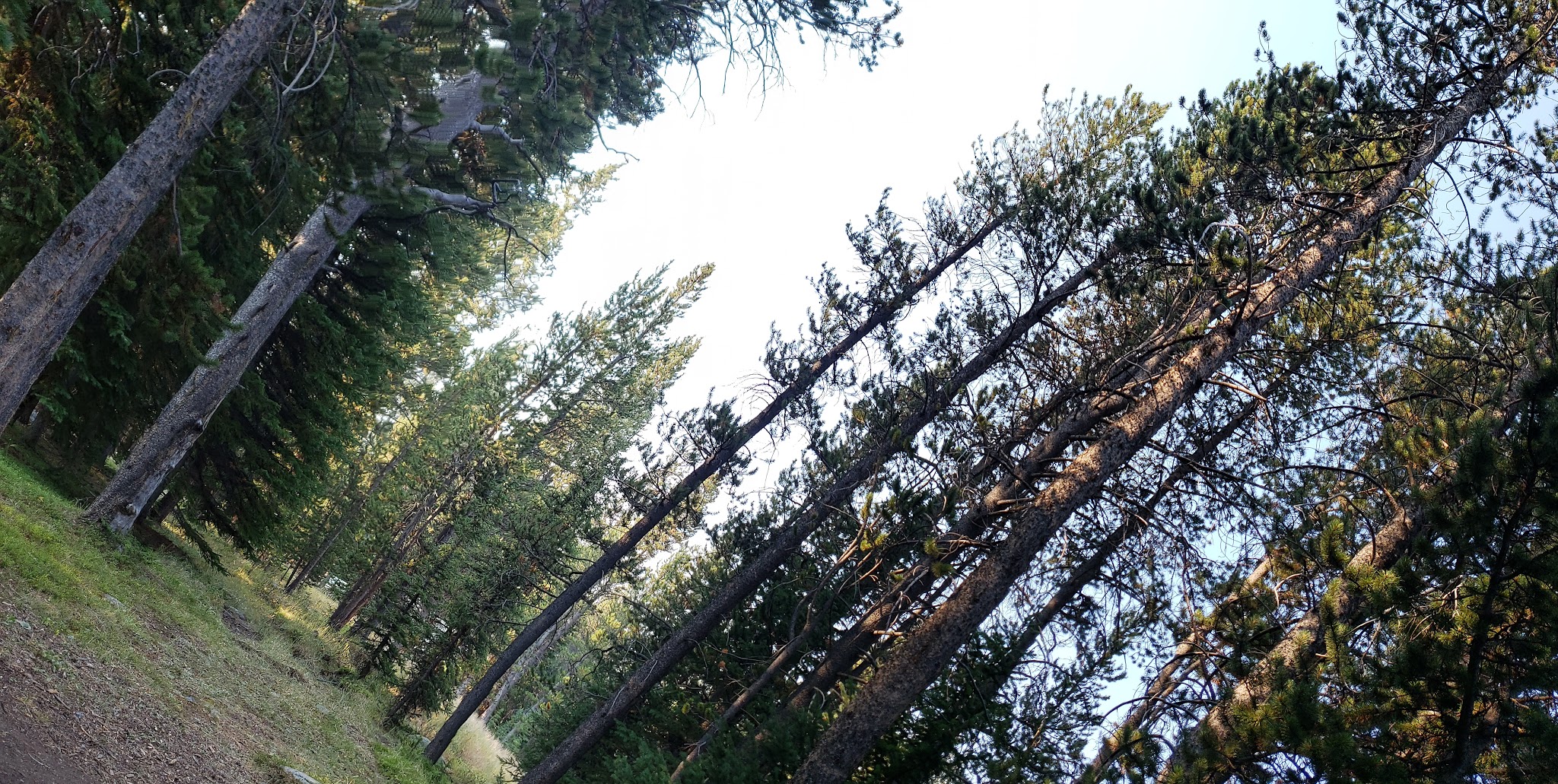 Deer Park Campground