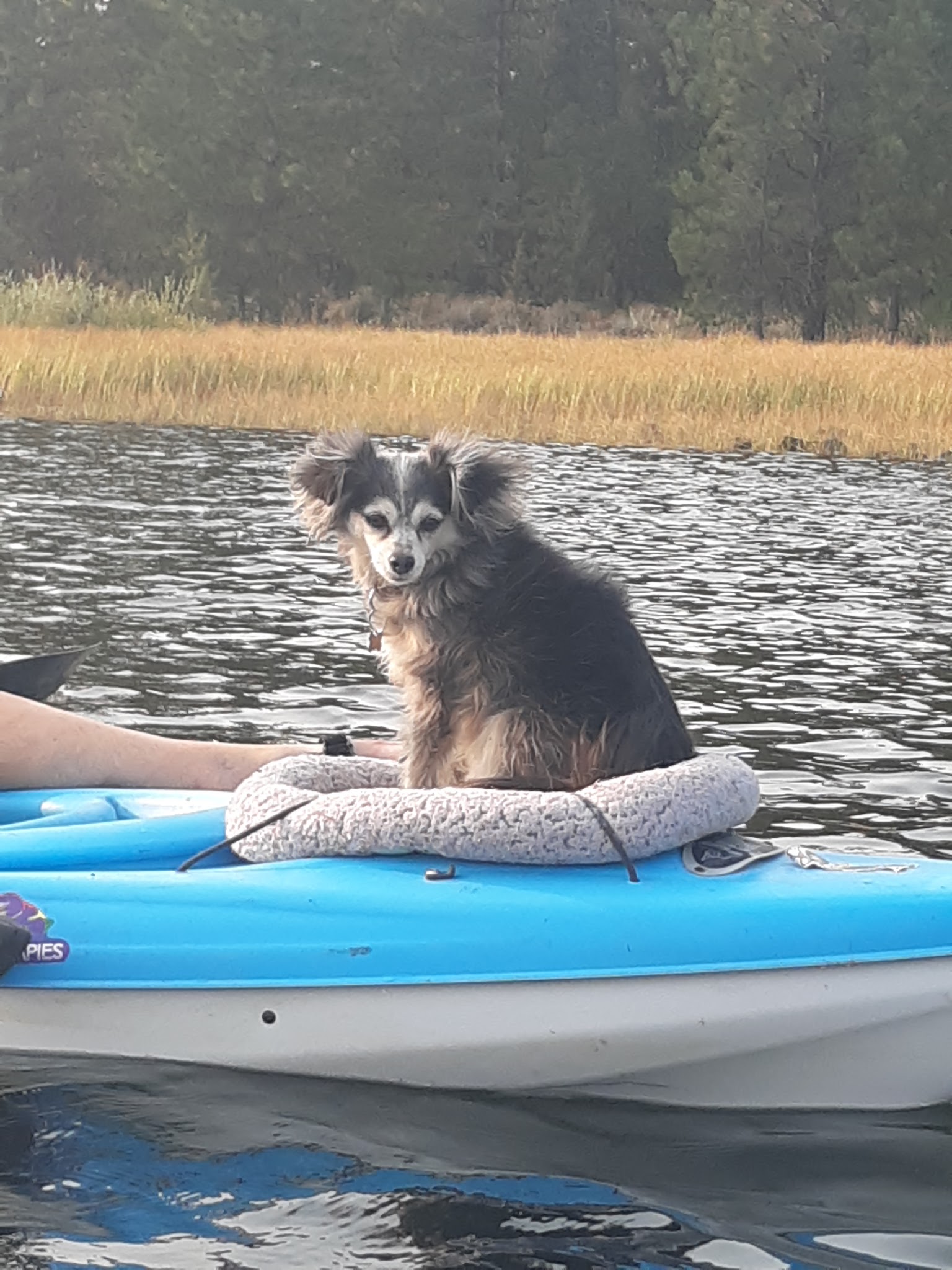 Delintment Lake Campground